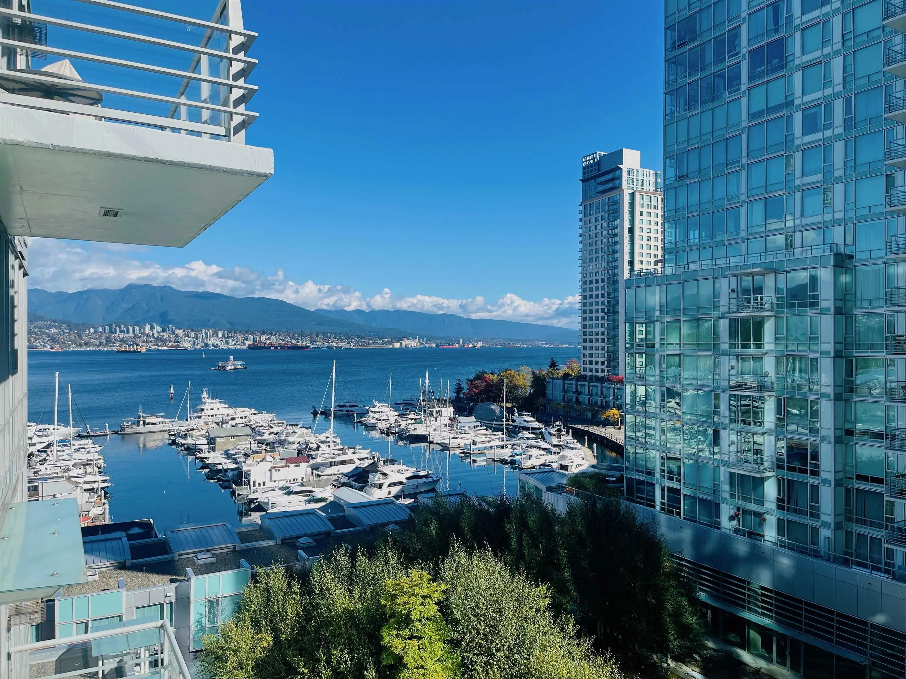 590 Nicola Street #904