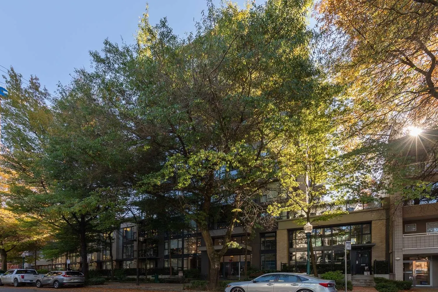 1650 W 7th Avenue #804