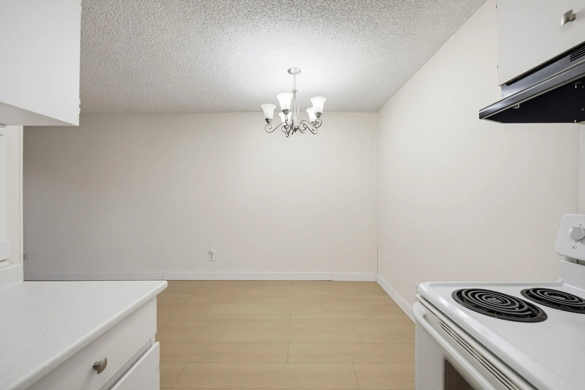 15238 100 Avenue #101