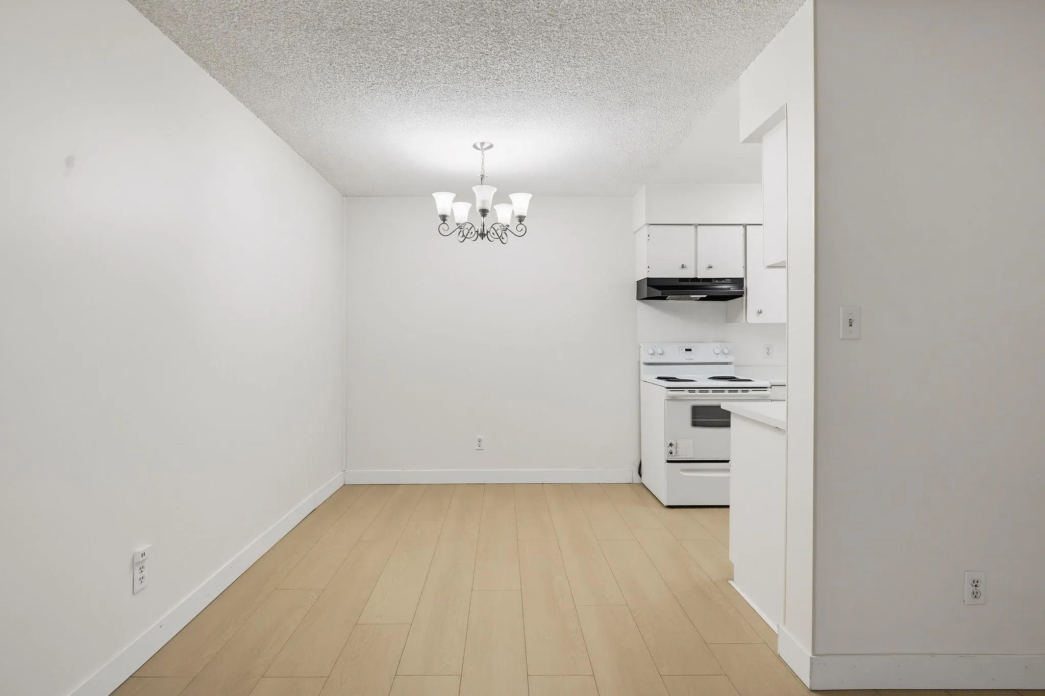 15238 100 Avenue #101