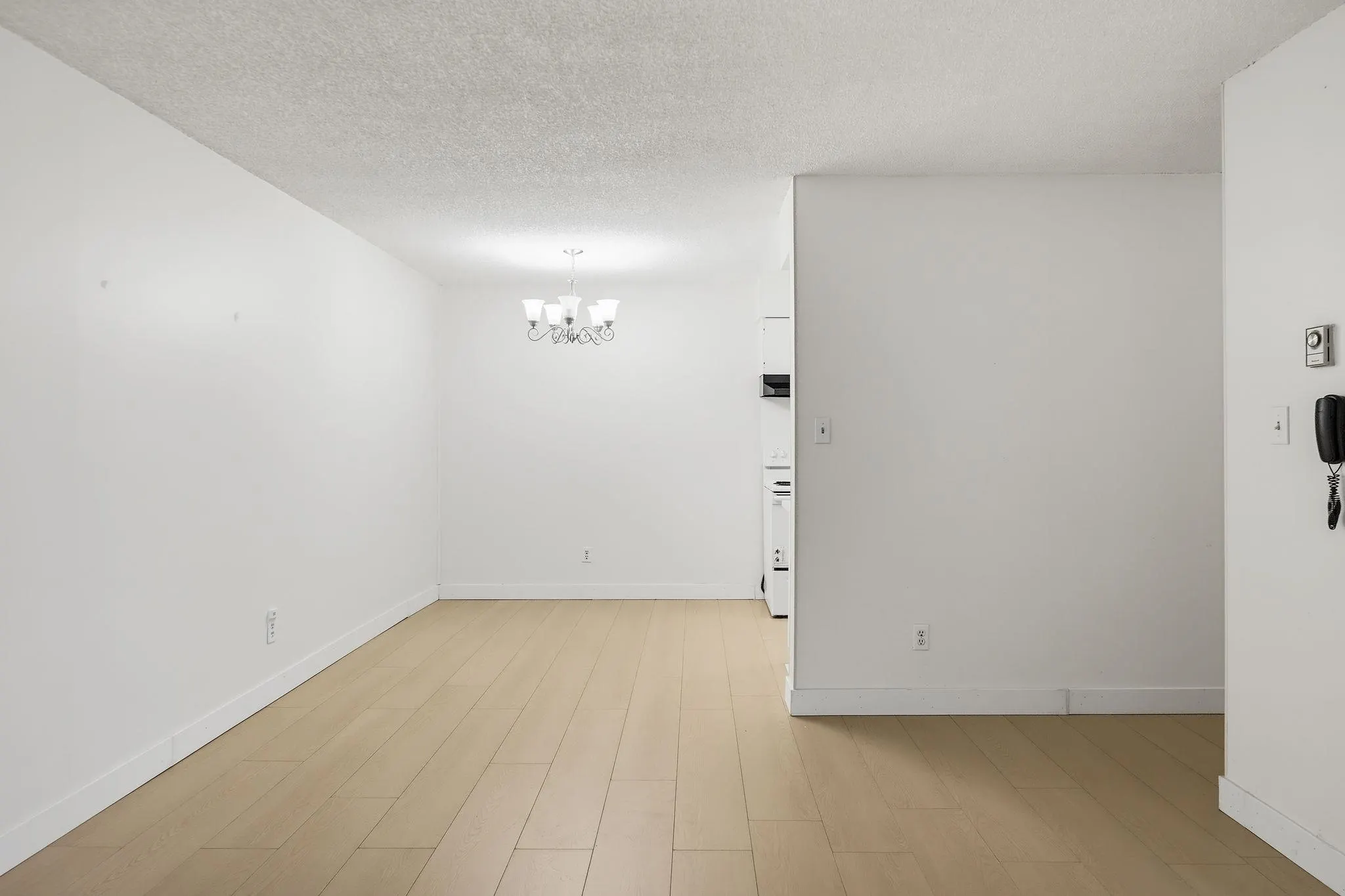 15238 100 Avenue #101