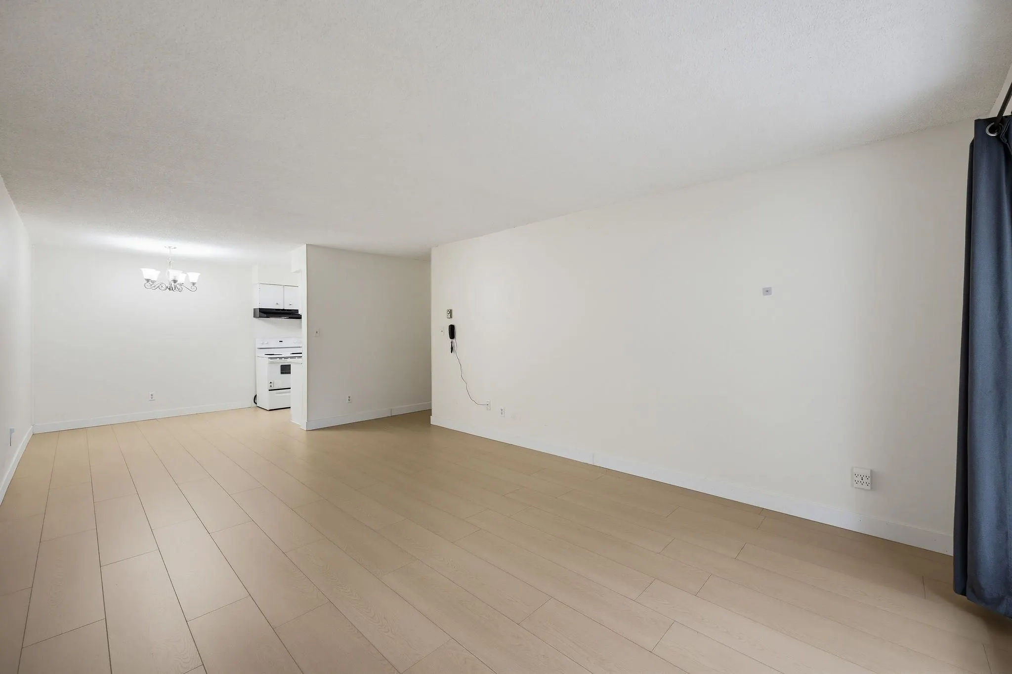 15238 100 Avenue #101