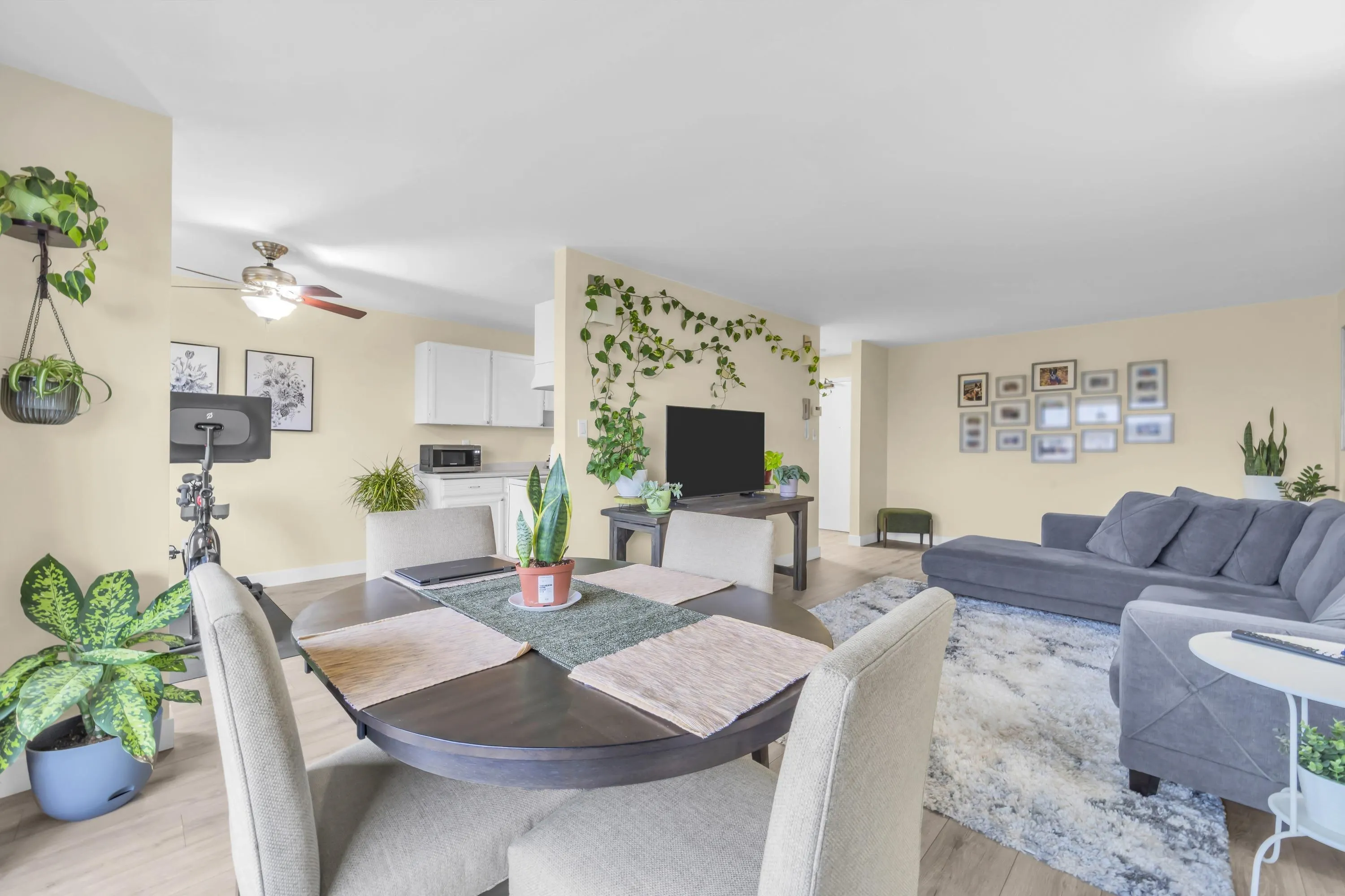 515 Eleventh Street #203