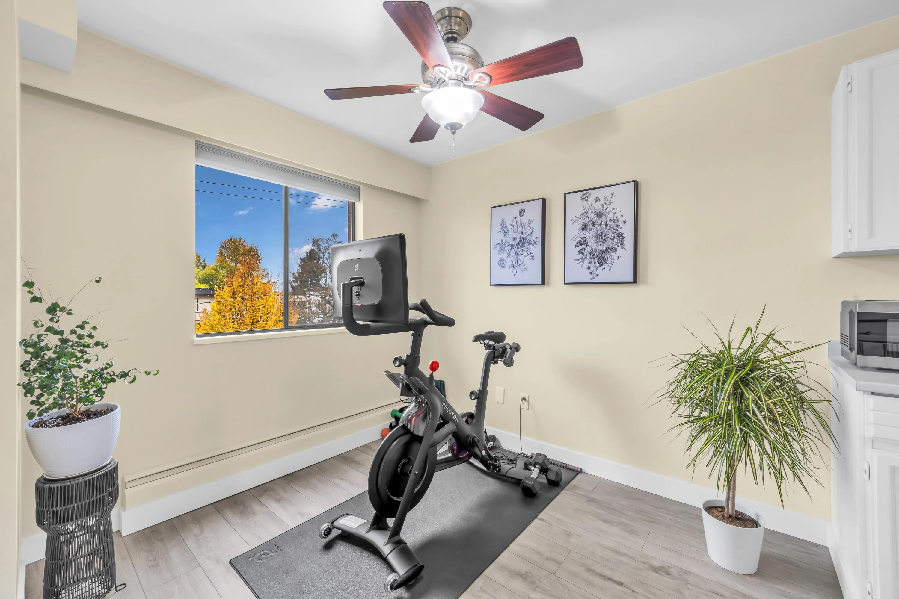 515 Eleventh Street #203