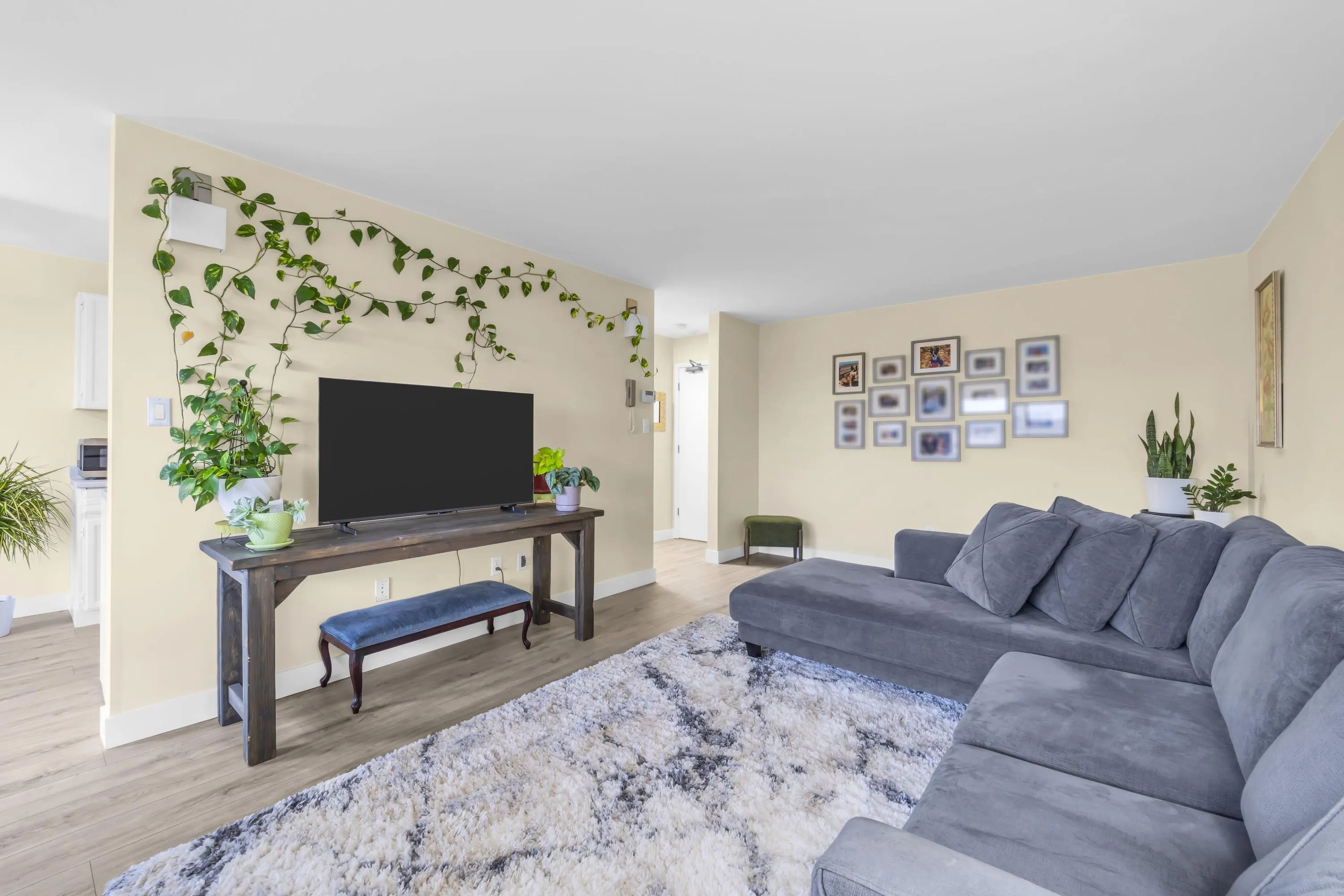 515 Eleventh Street #203