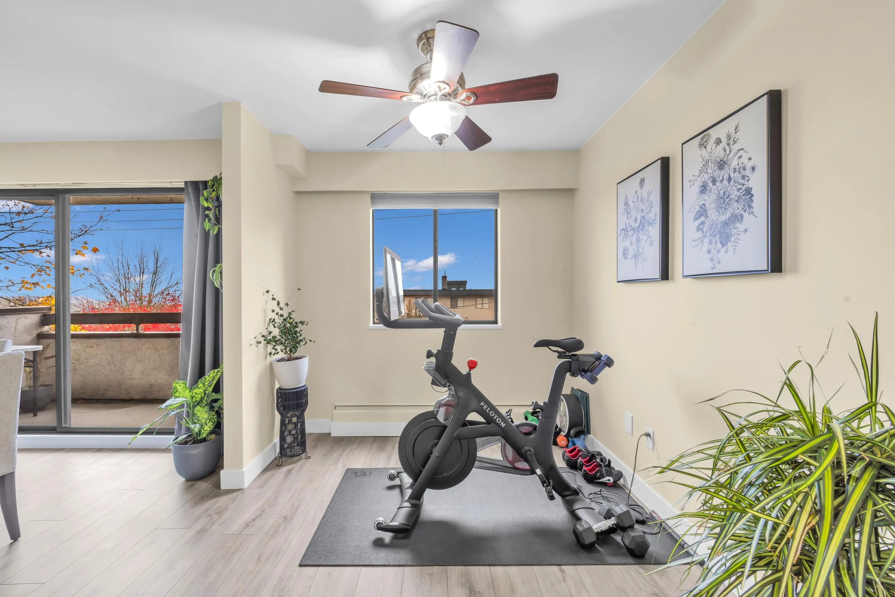 515 Eleventh Street #203