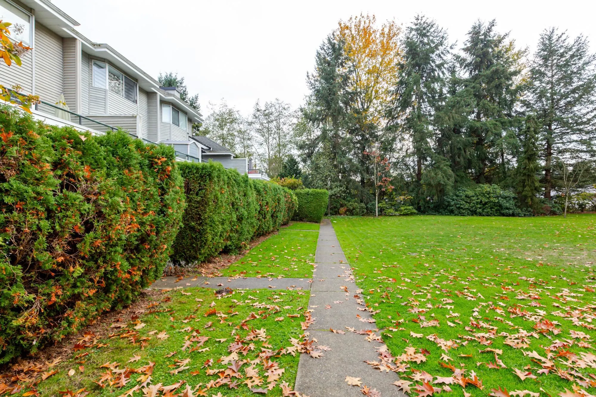 13660 84 Avenue #3