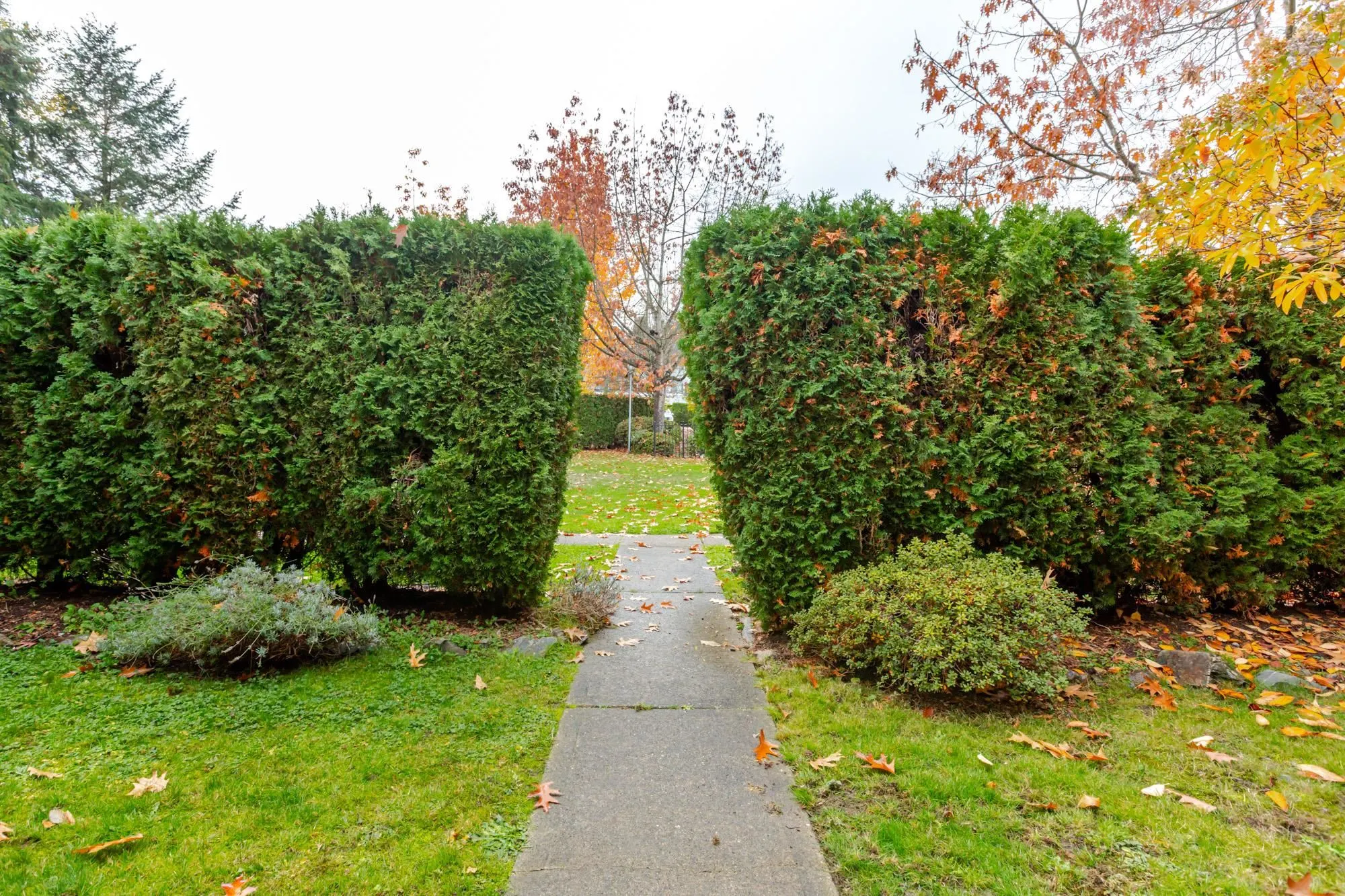 13660 84 Avenue #3