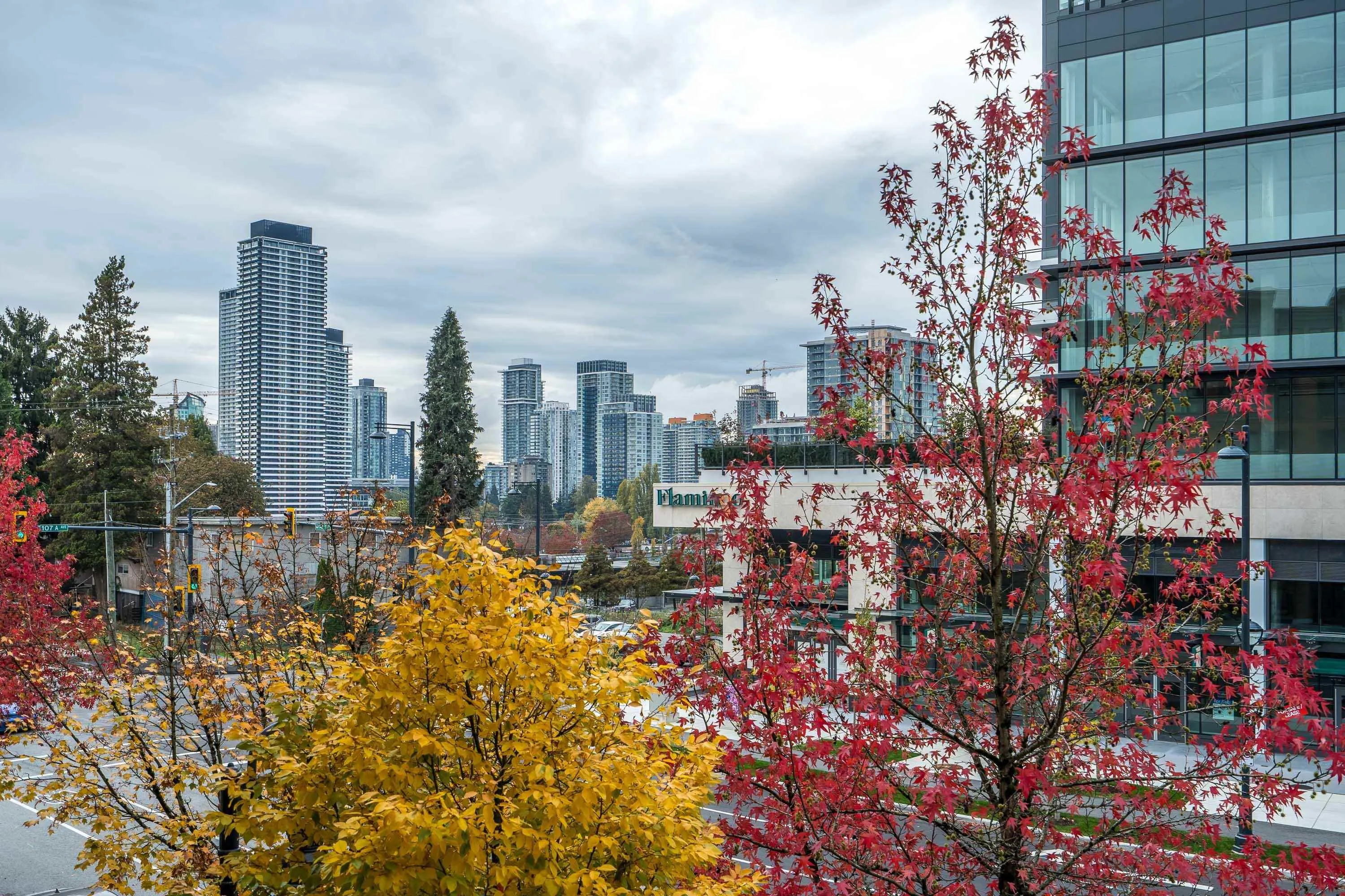 13733 107a Avenue #208