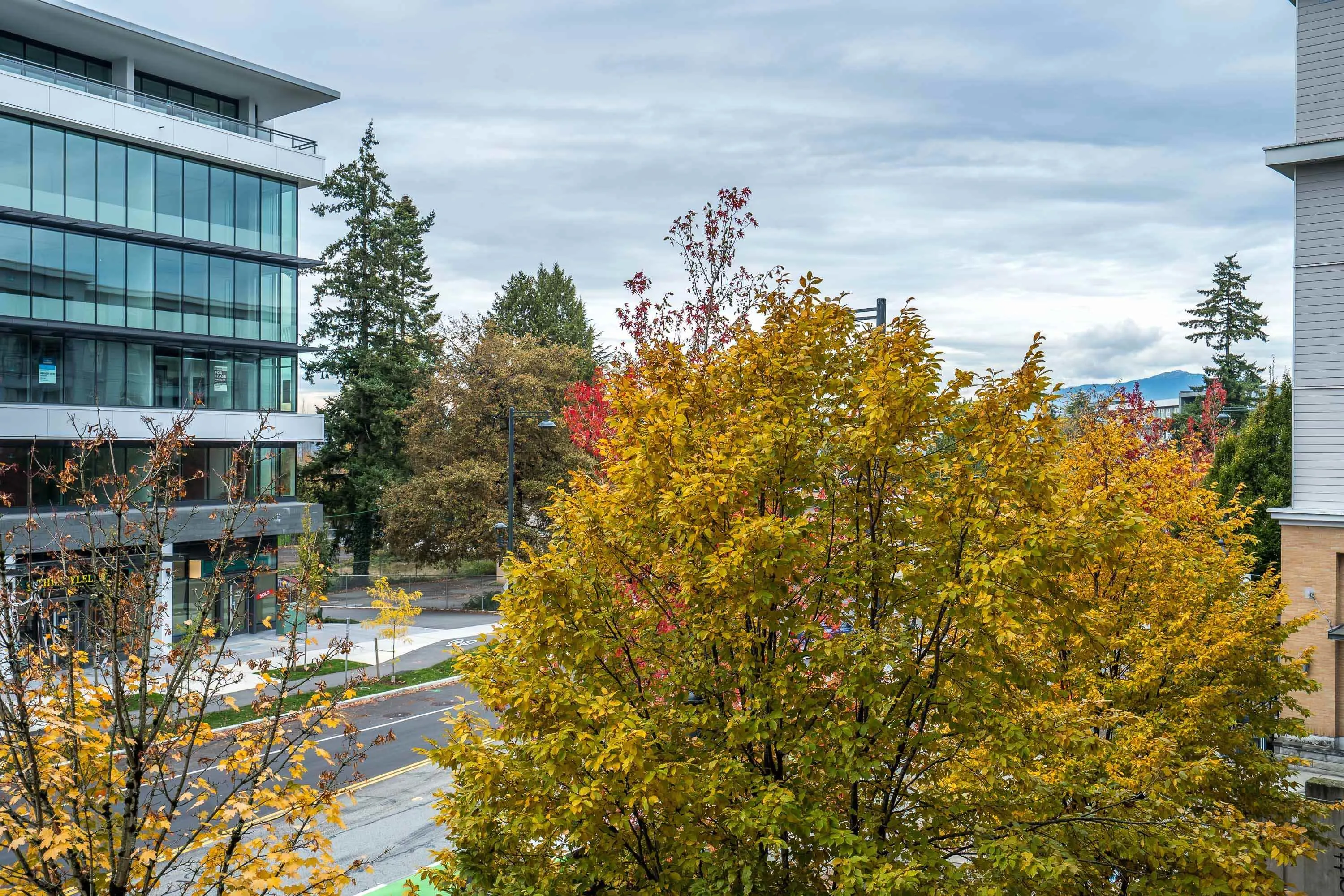 13733 107a Avenue #208