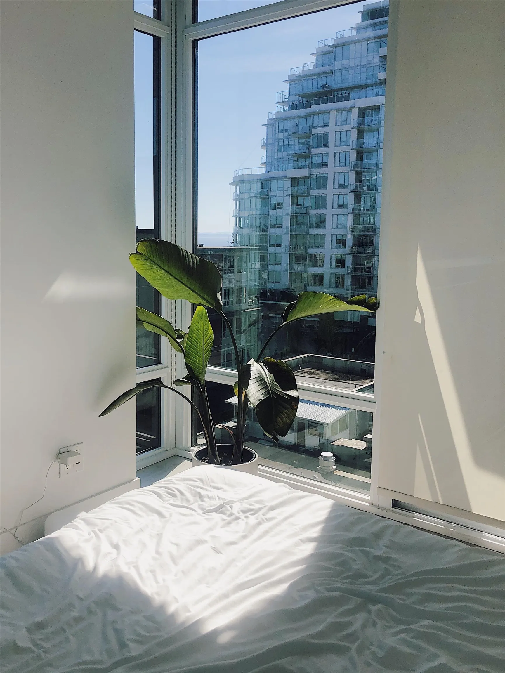1455 George Street #80*