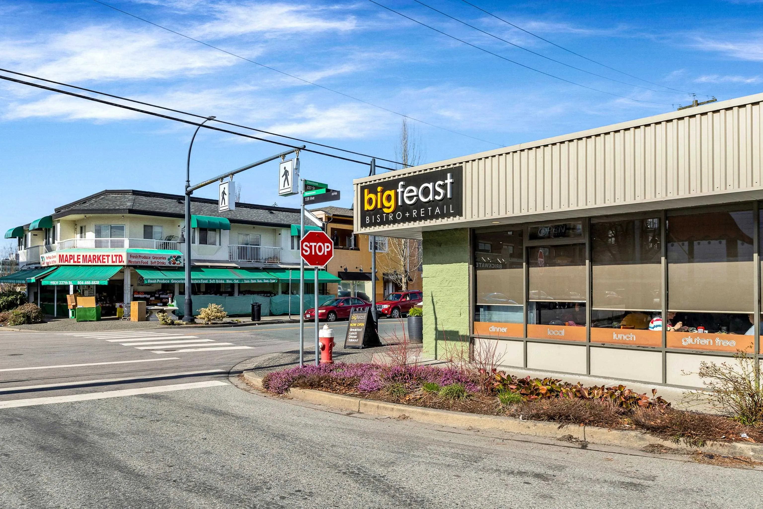 11893 227 Street #509