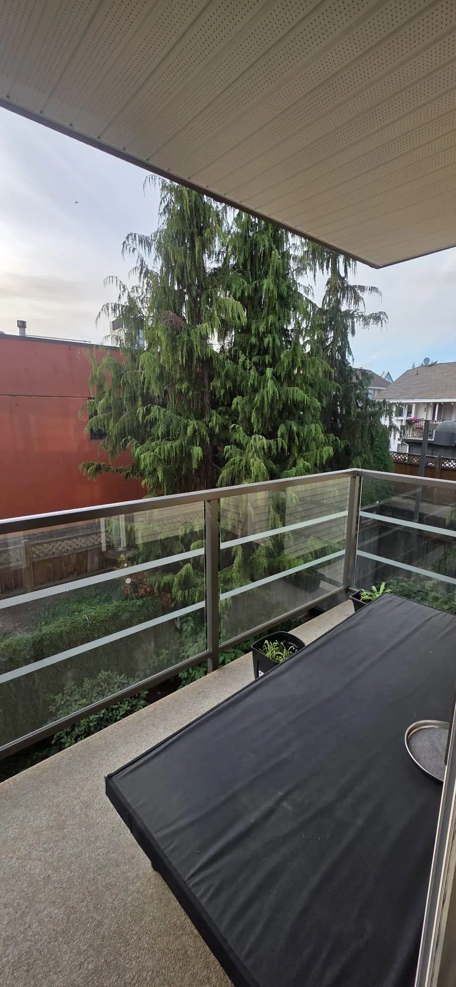 30515 Cardinal Avenue #306