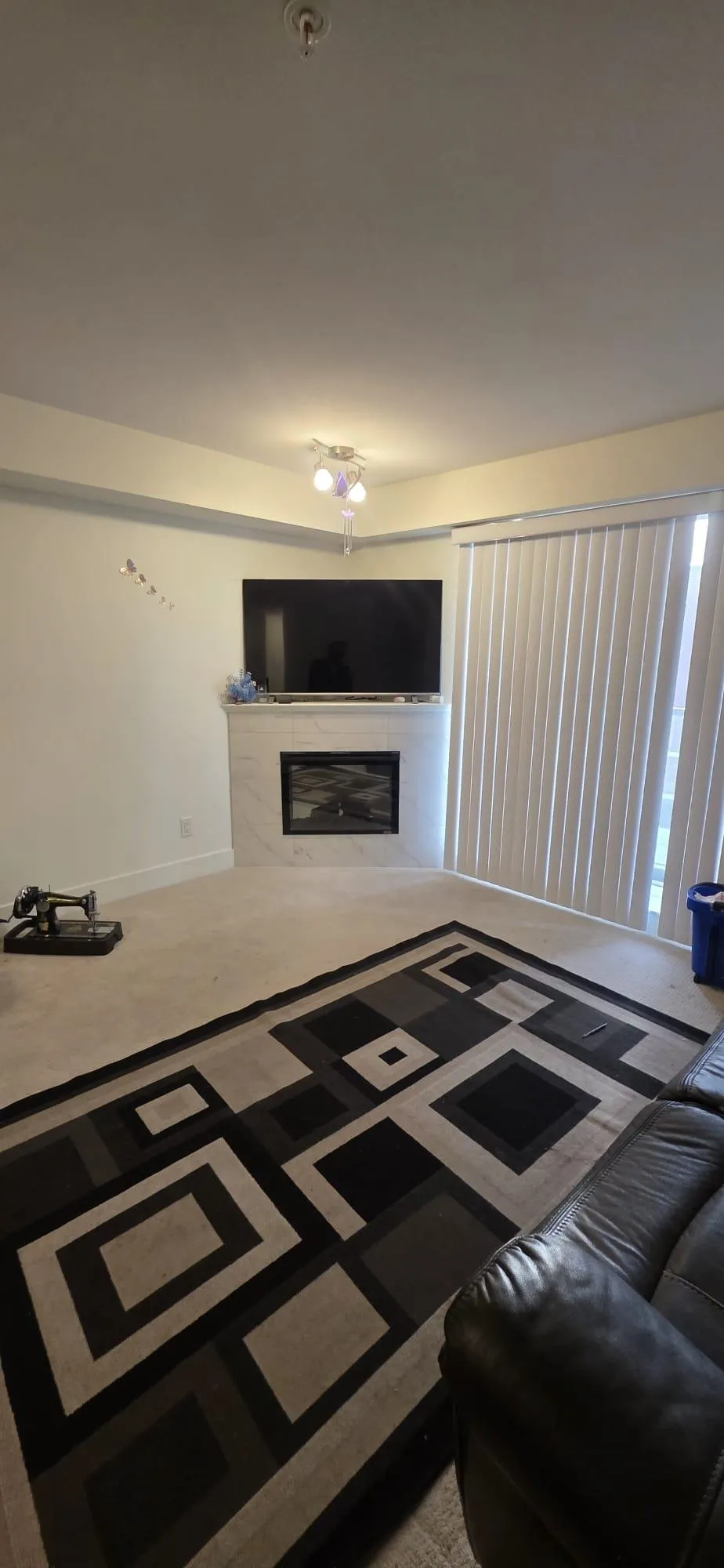 30515 Cardinal Avenue #306