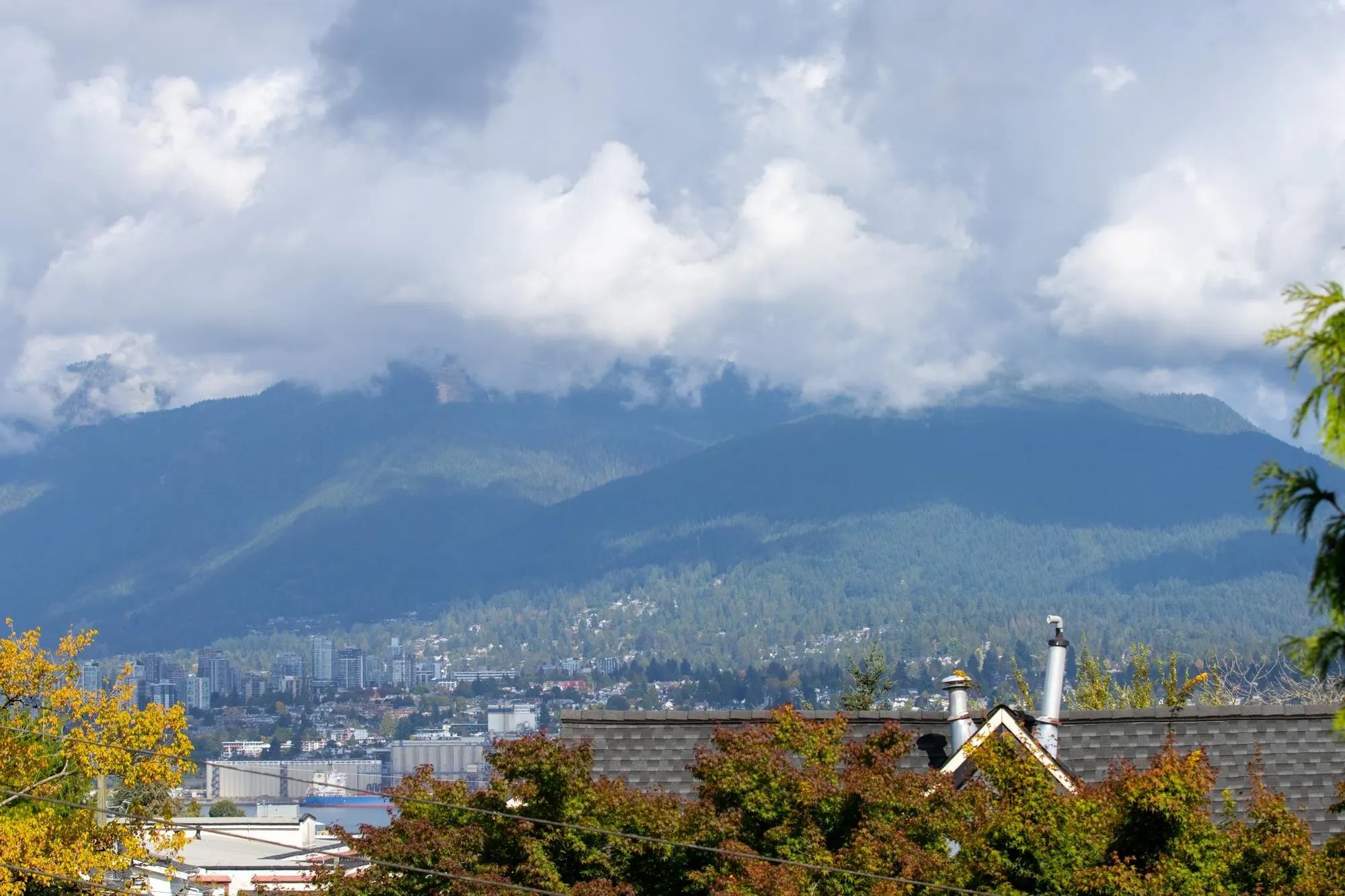2145 Napier Street #2