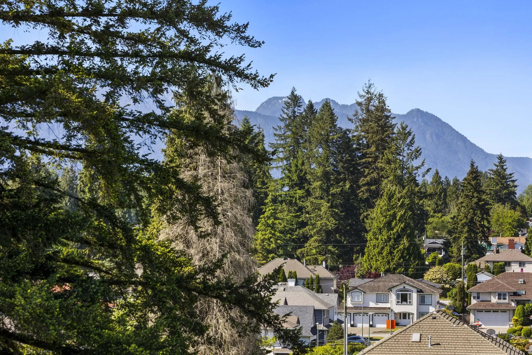 721 Anskar Court #613