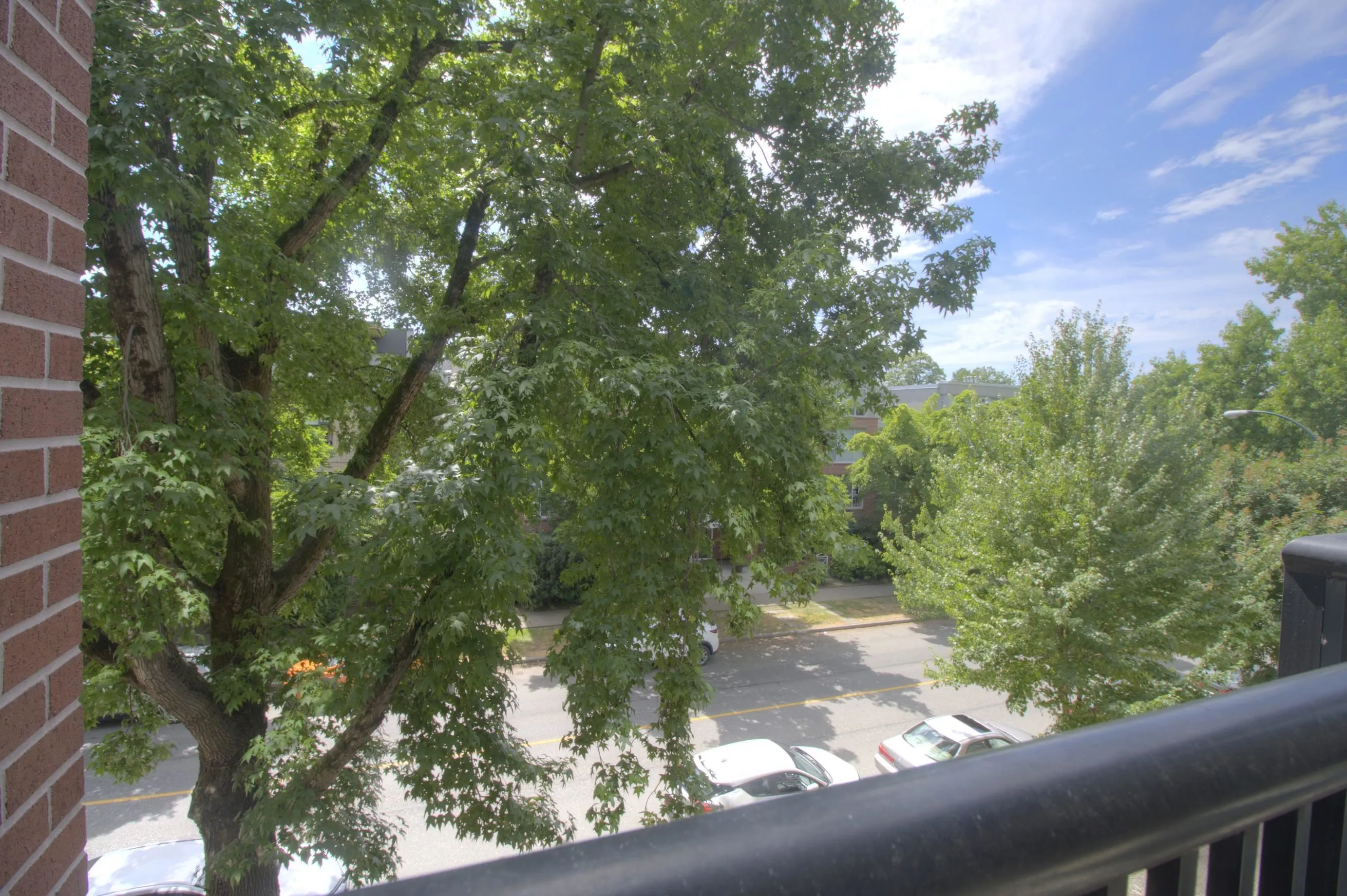 2268 Redbud Lane #307