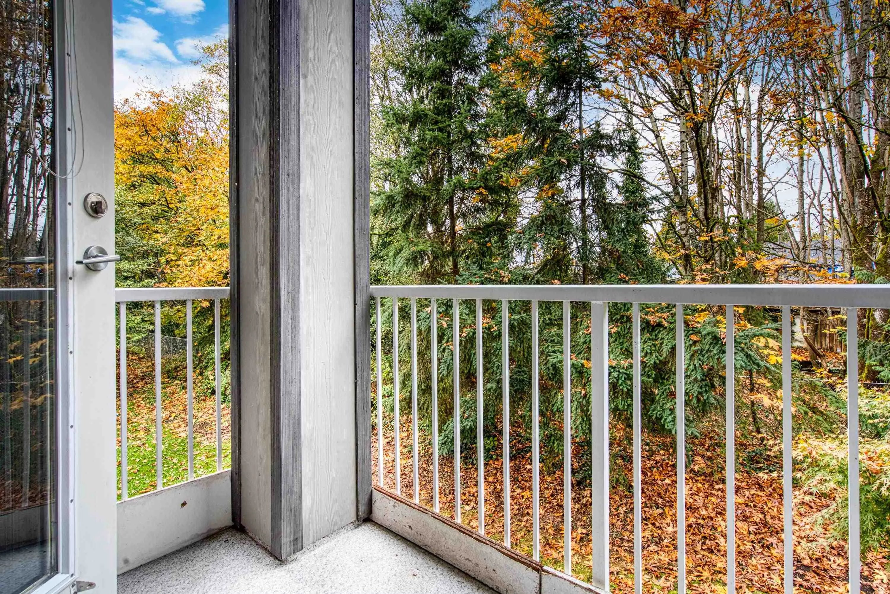 13277 108 Avenue #209