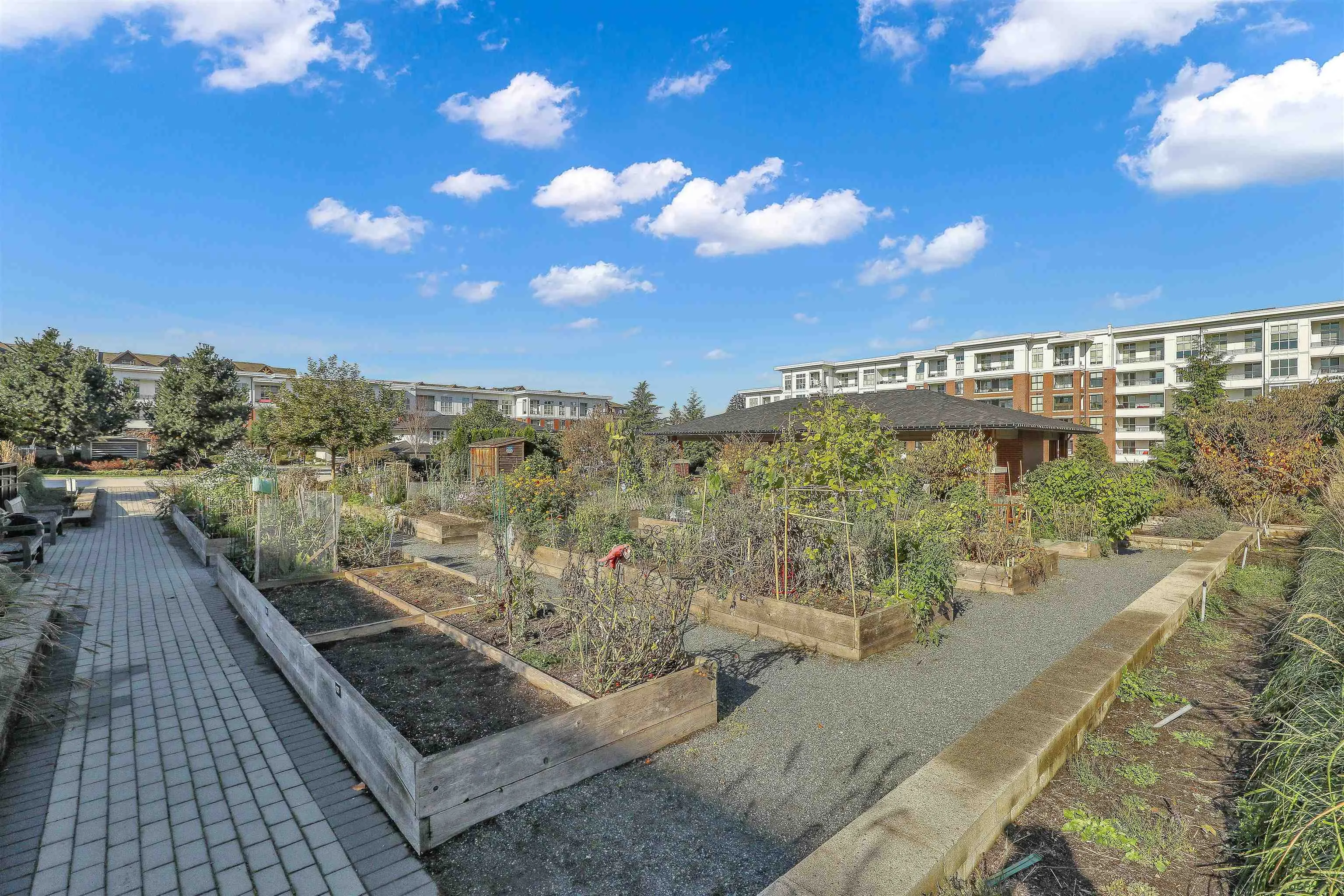 8150 207 Street #C213