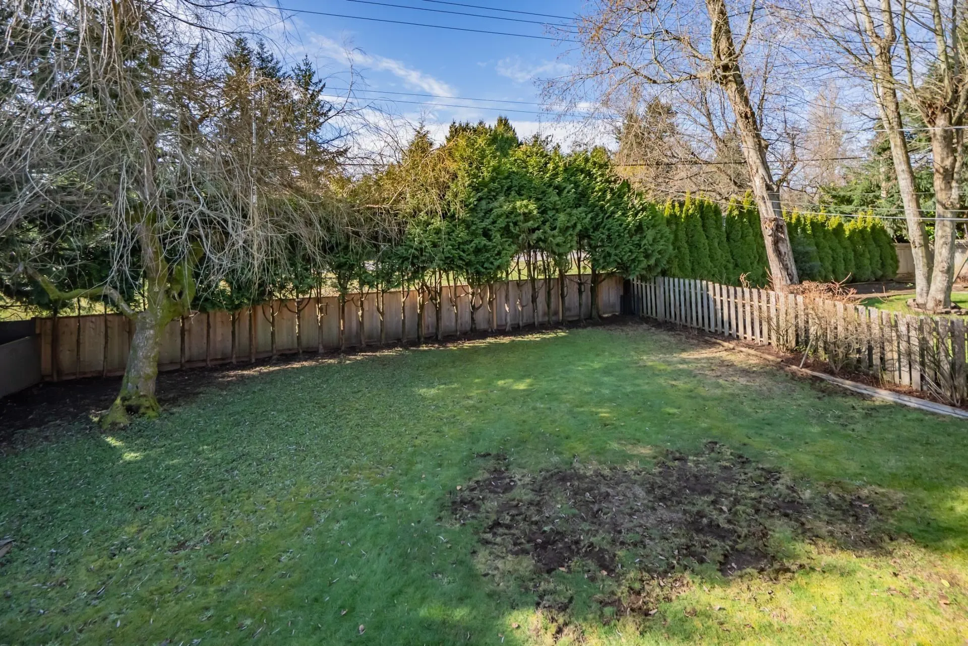 1981 158a Street