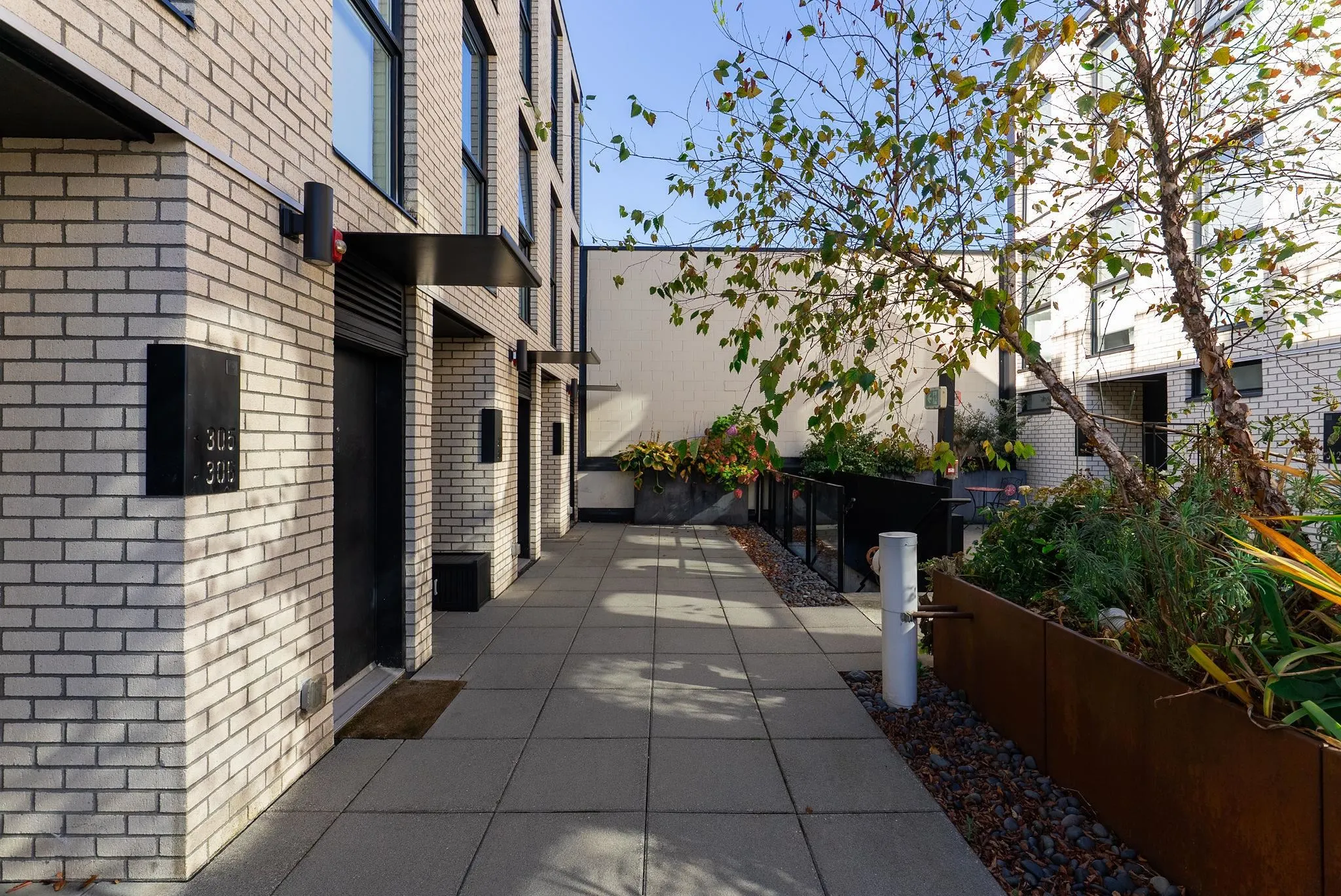 1647 E Pender Street #309