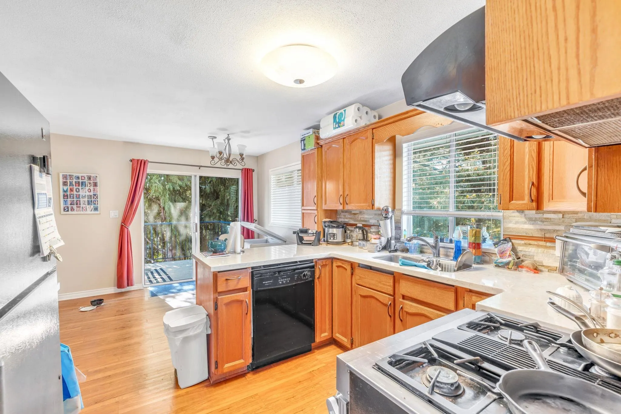 8243 Haffner Terrace