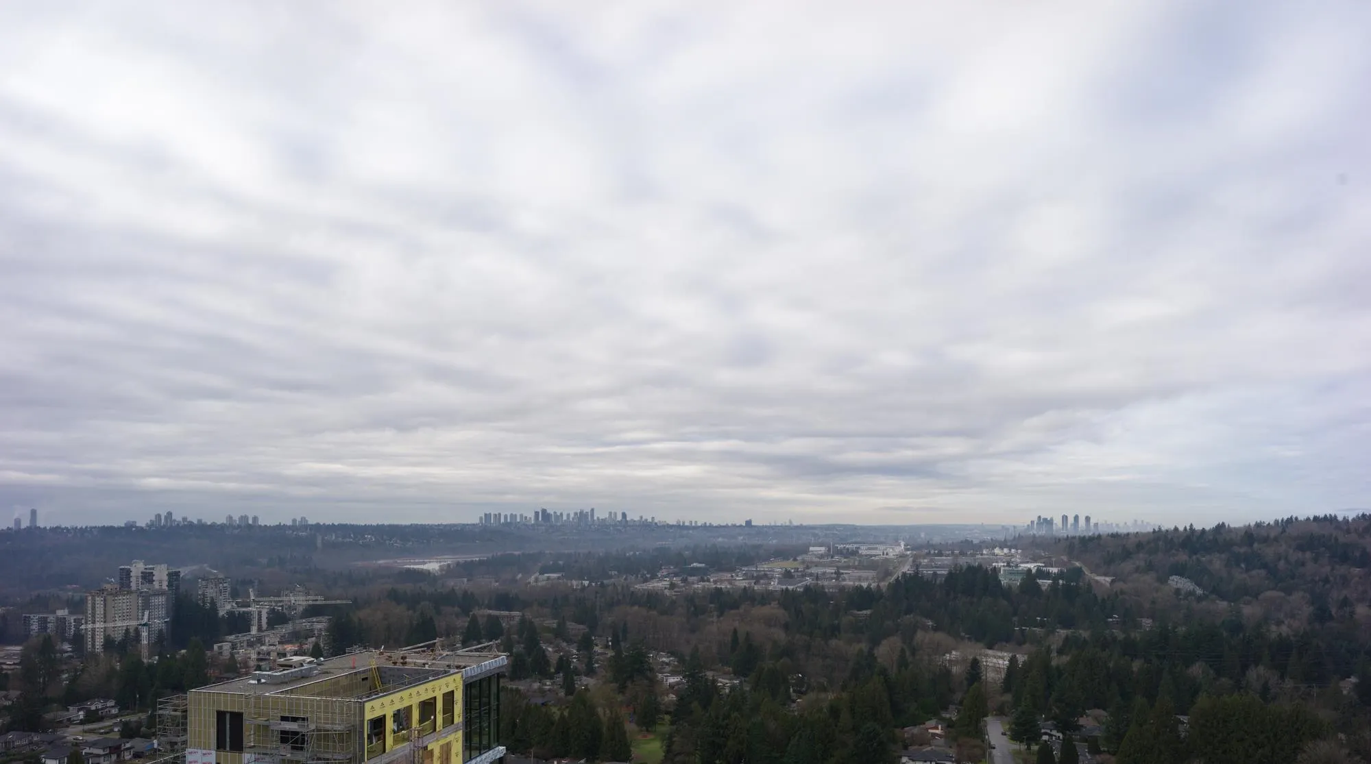 699 Whiting Way #2101