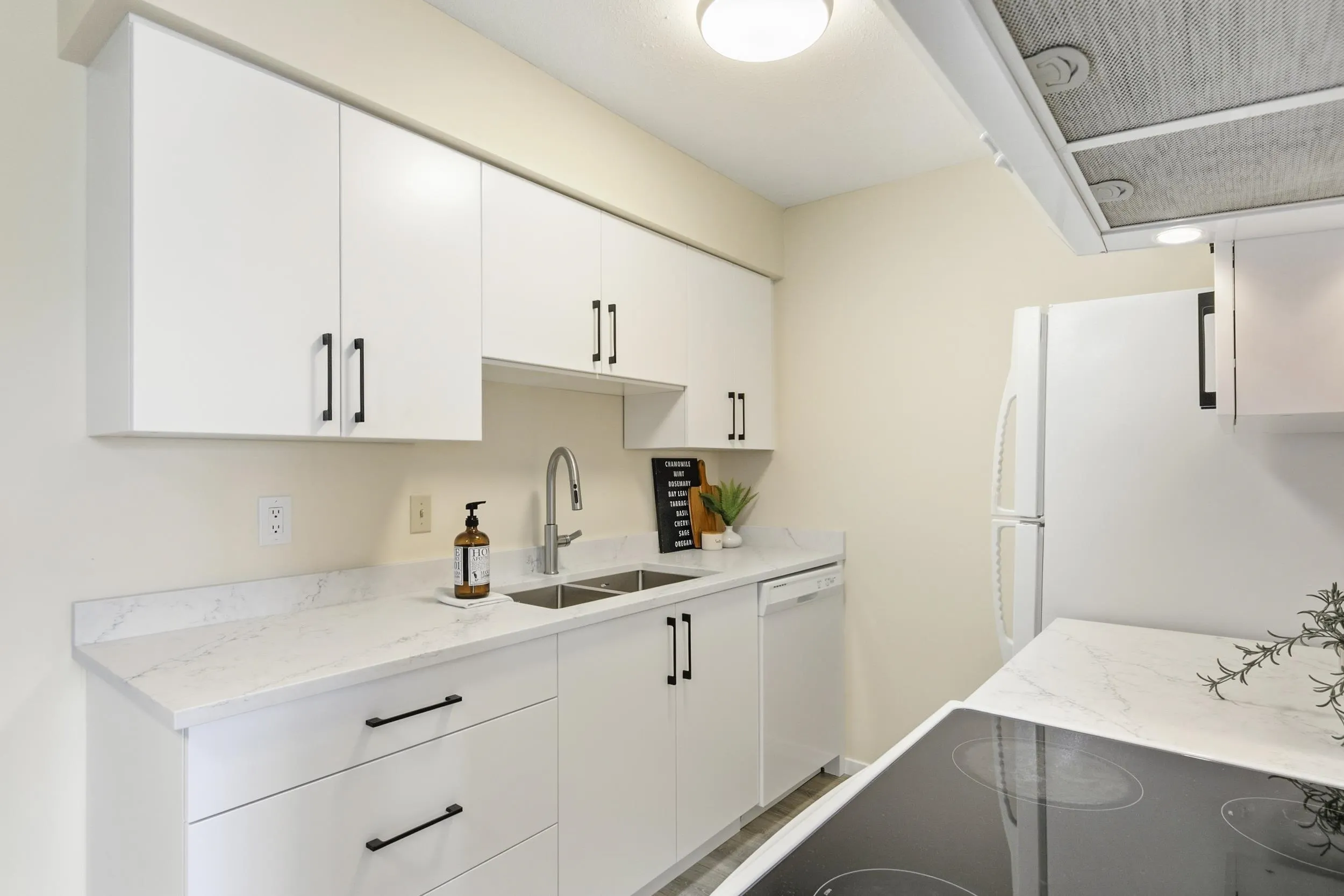 230 Mowat Street #108