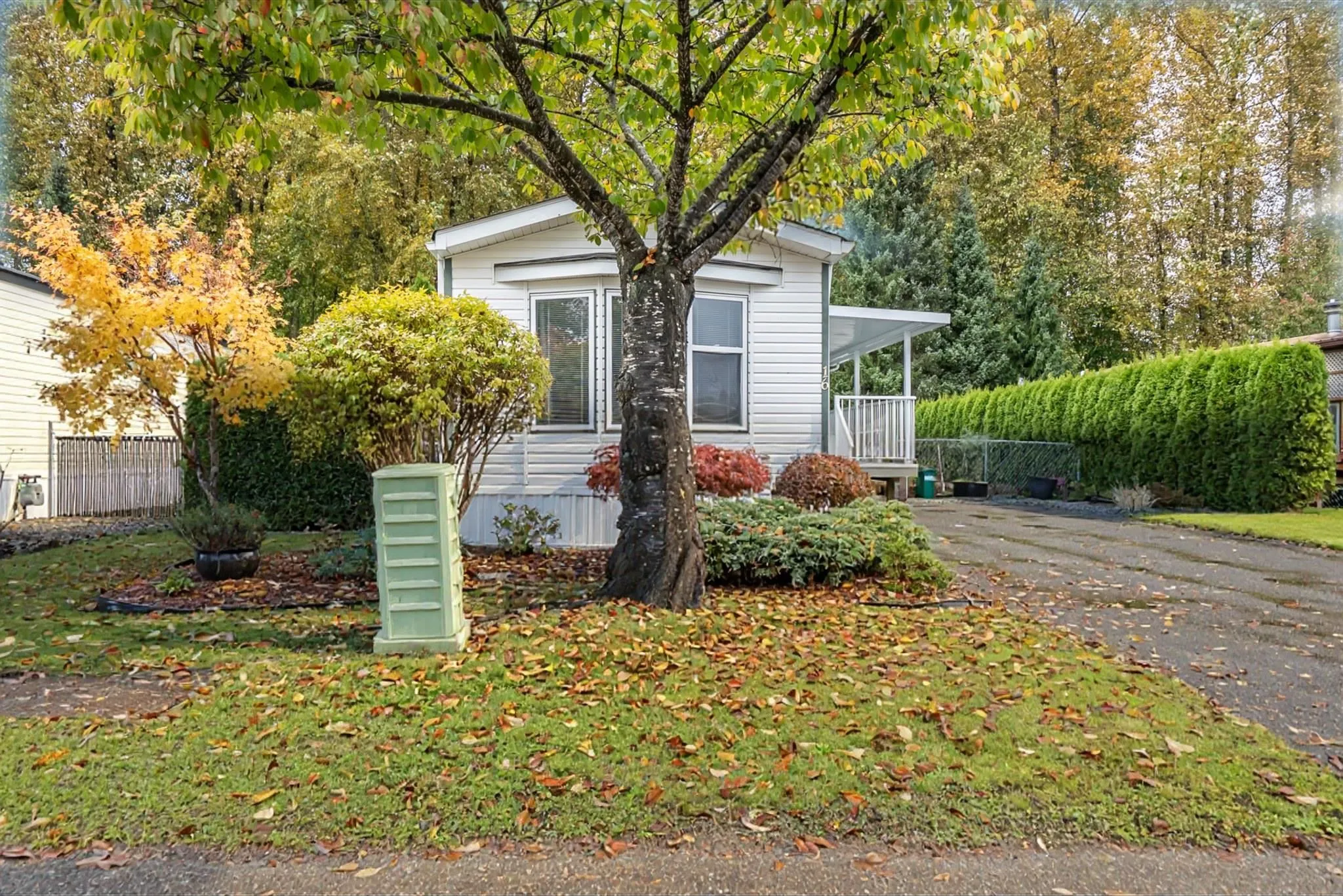 41168 Lougheed Highway #16