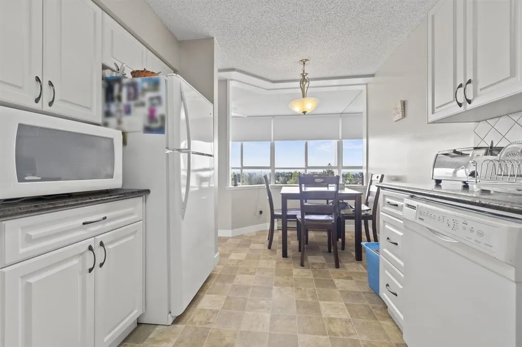 11920 80 Avenue #1501