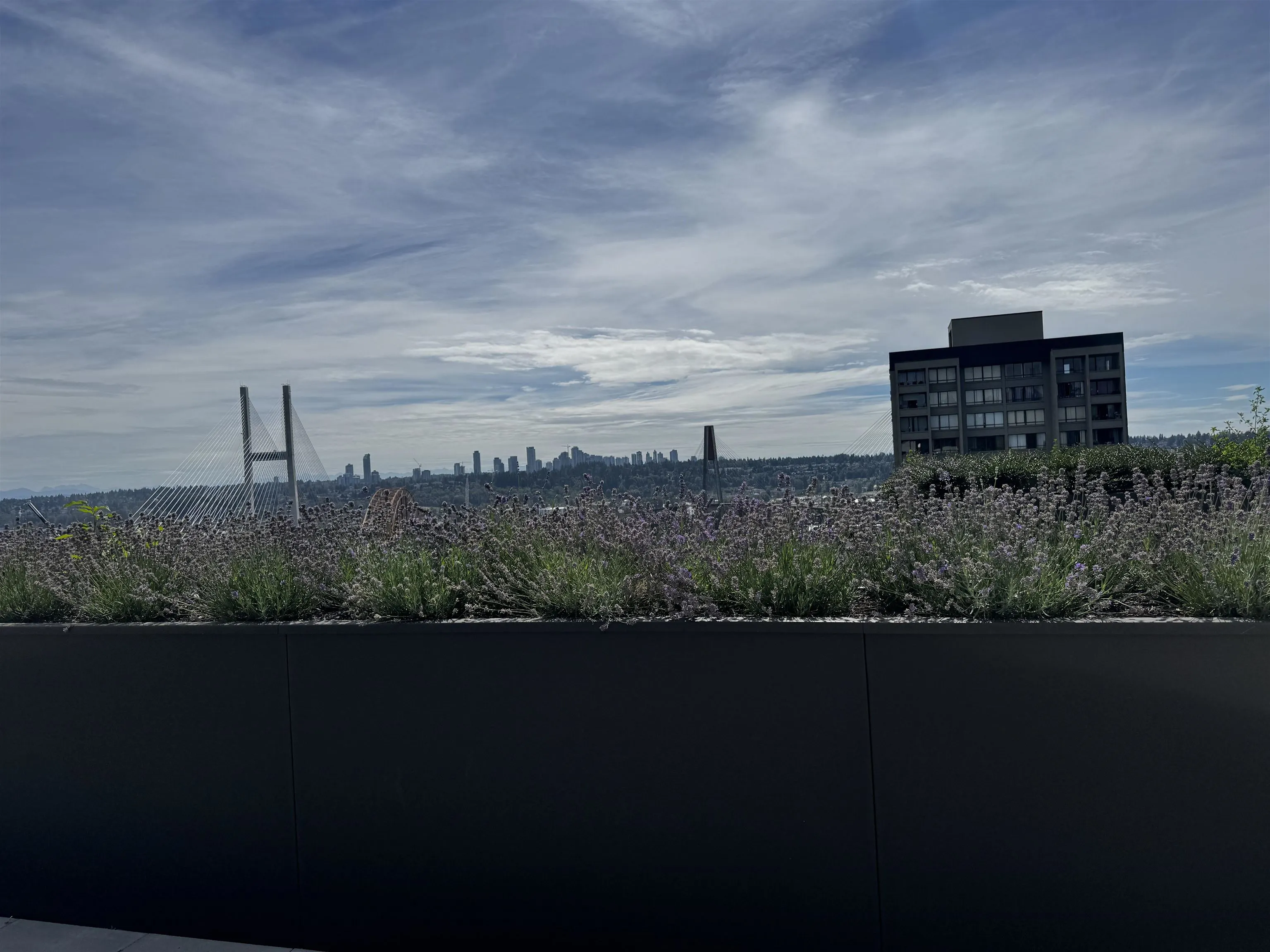 82 First Street #611