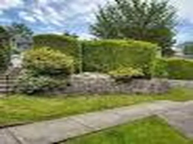 315 Schoolhouse Street #25