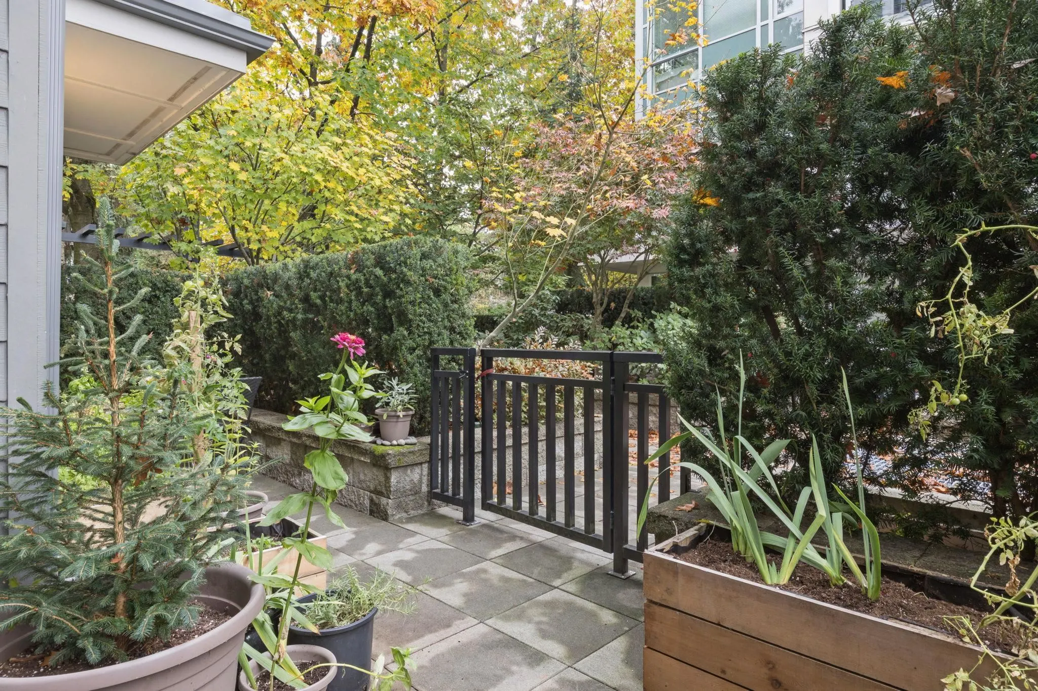277 W 1st Street #113