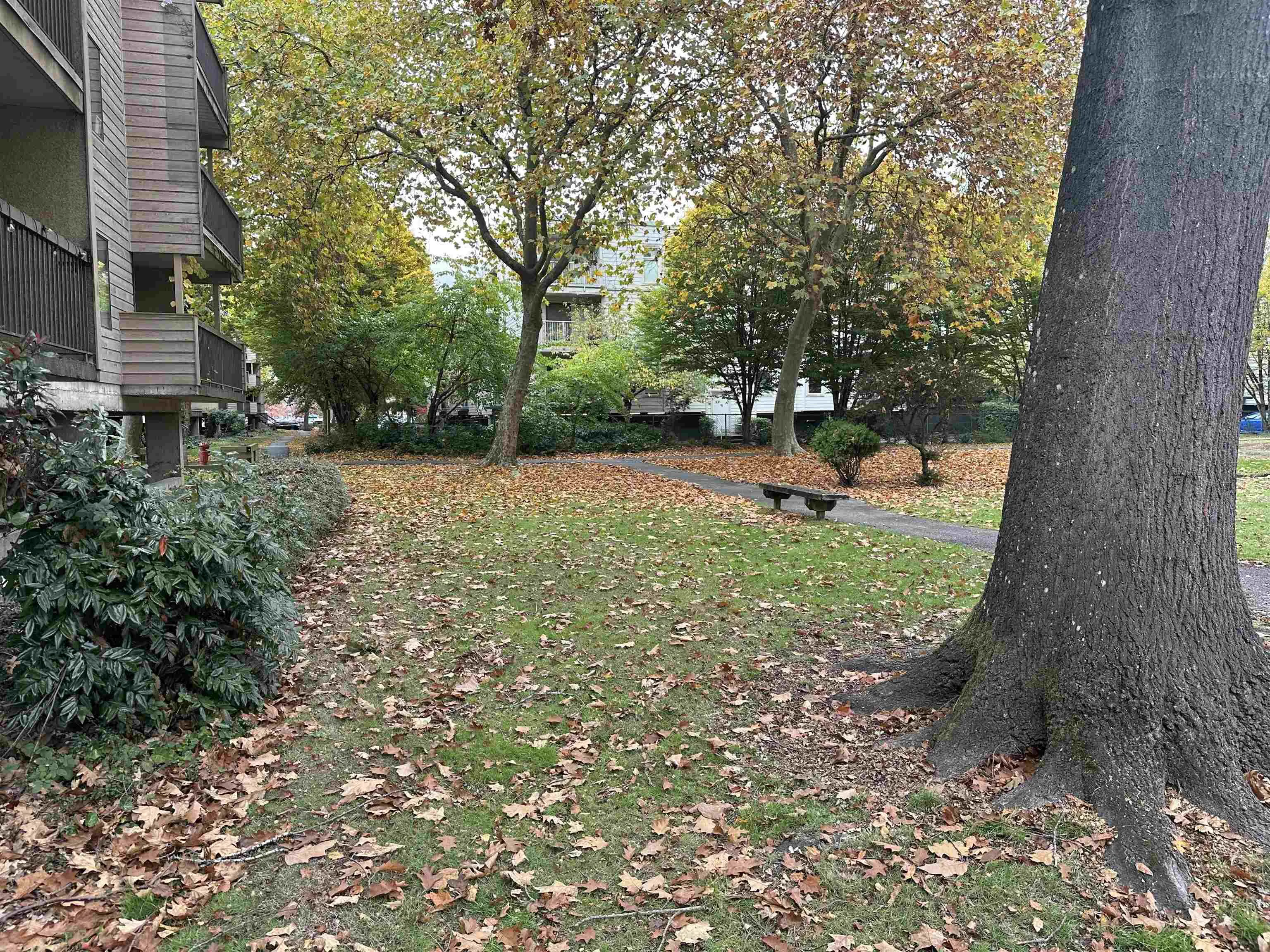8411 Ackroyd Road #318