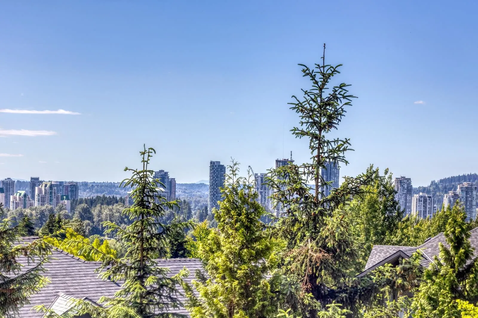1380 Pinetree Way #84
