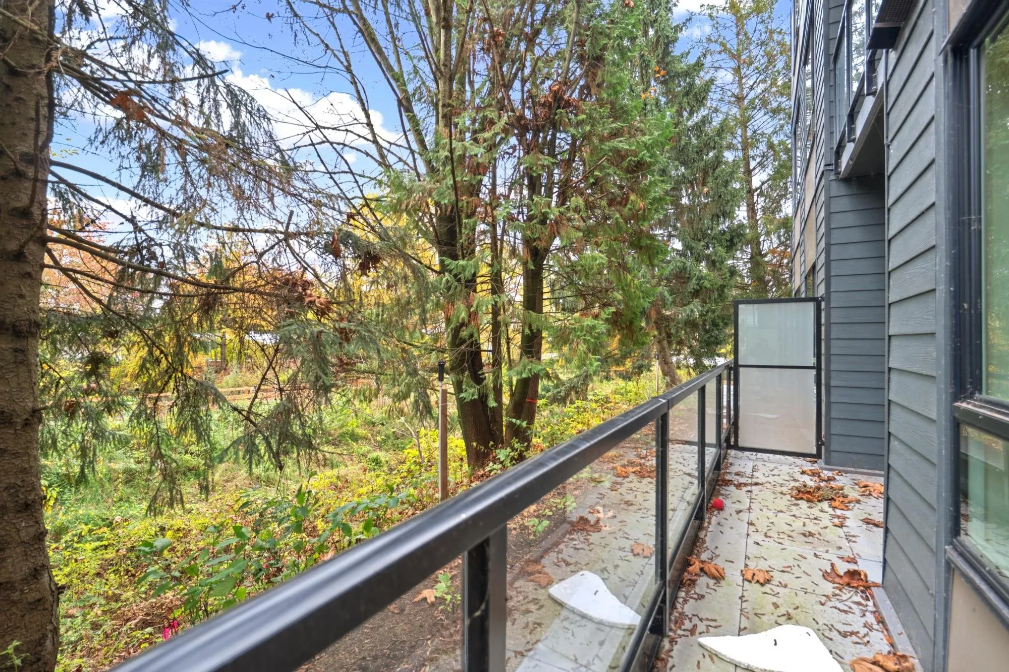 27249 Aldergrove Town Centre Drive #107