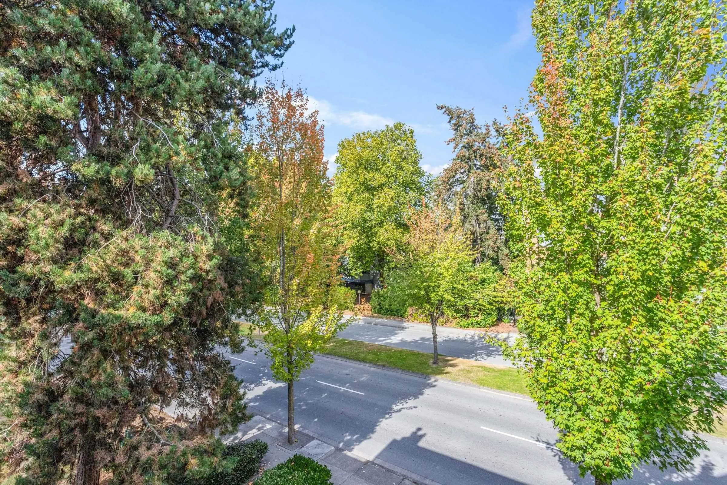 8700 Westminster Highway #202