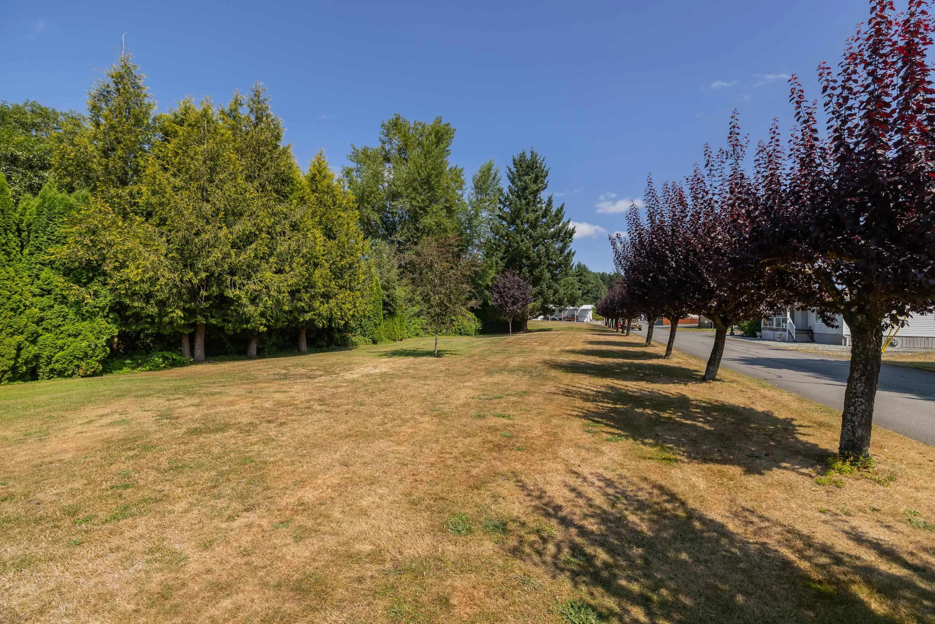 27111 0 Avenue #134
