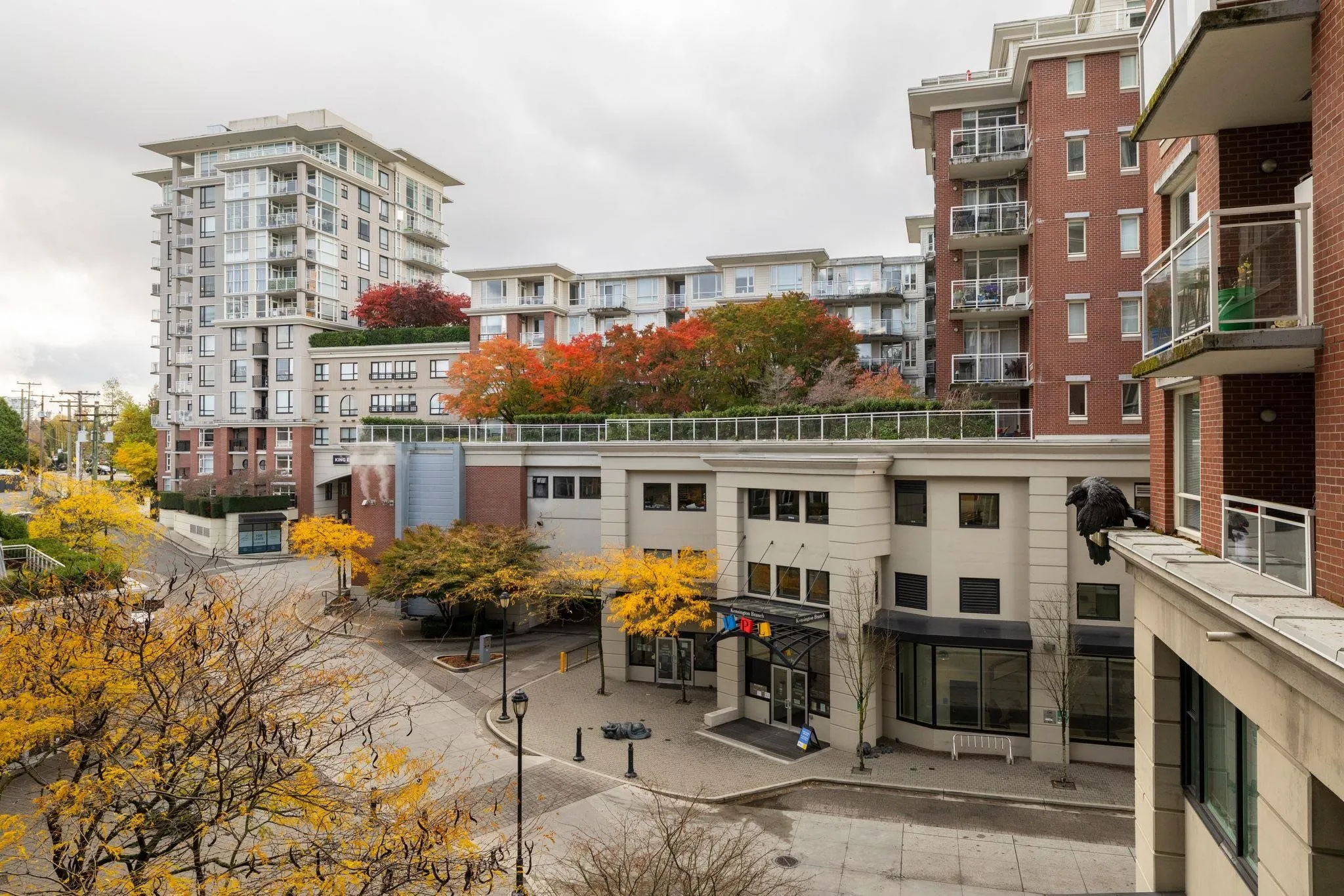 4028 Knight Street #321