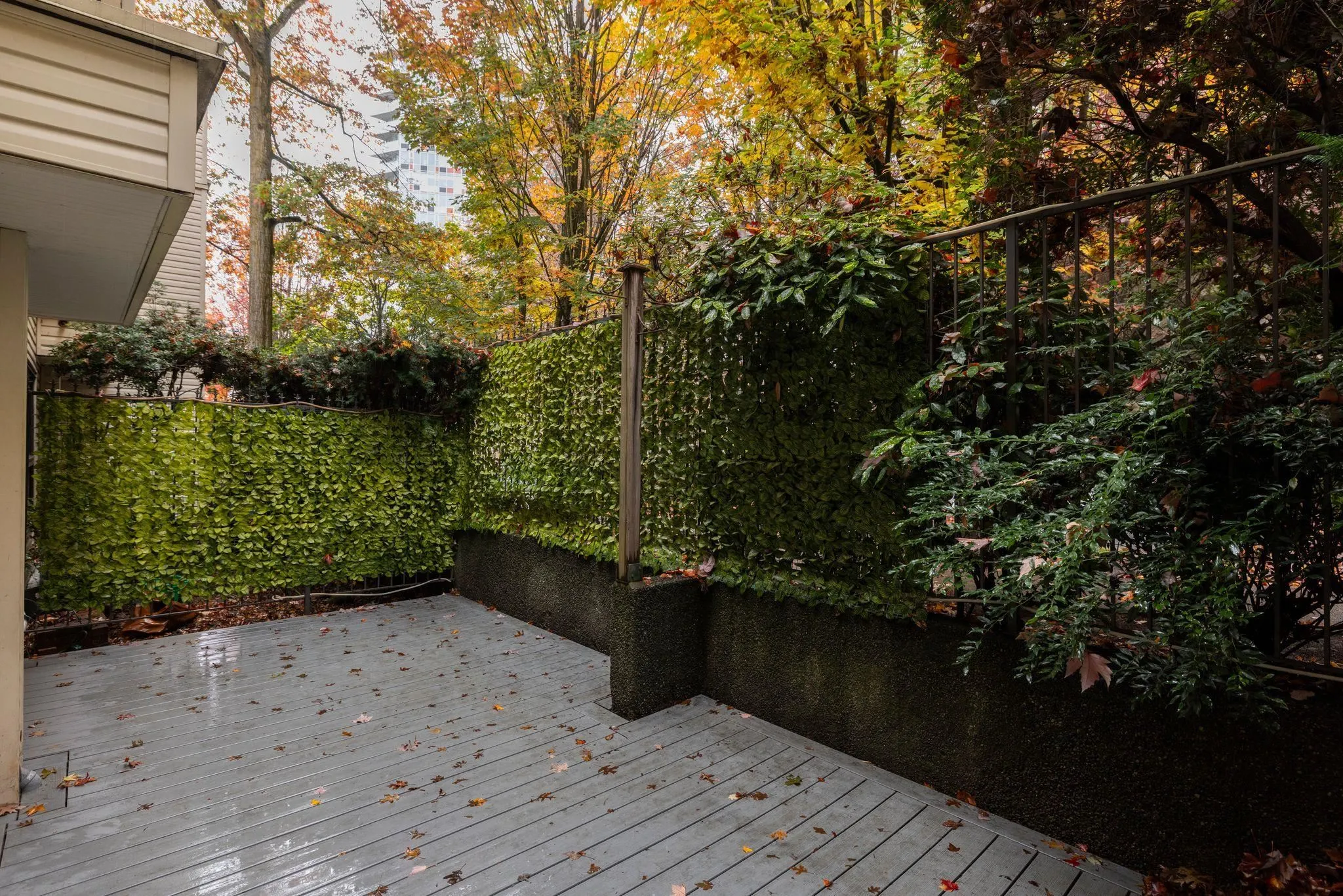 1350 Comox Street #203