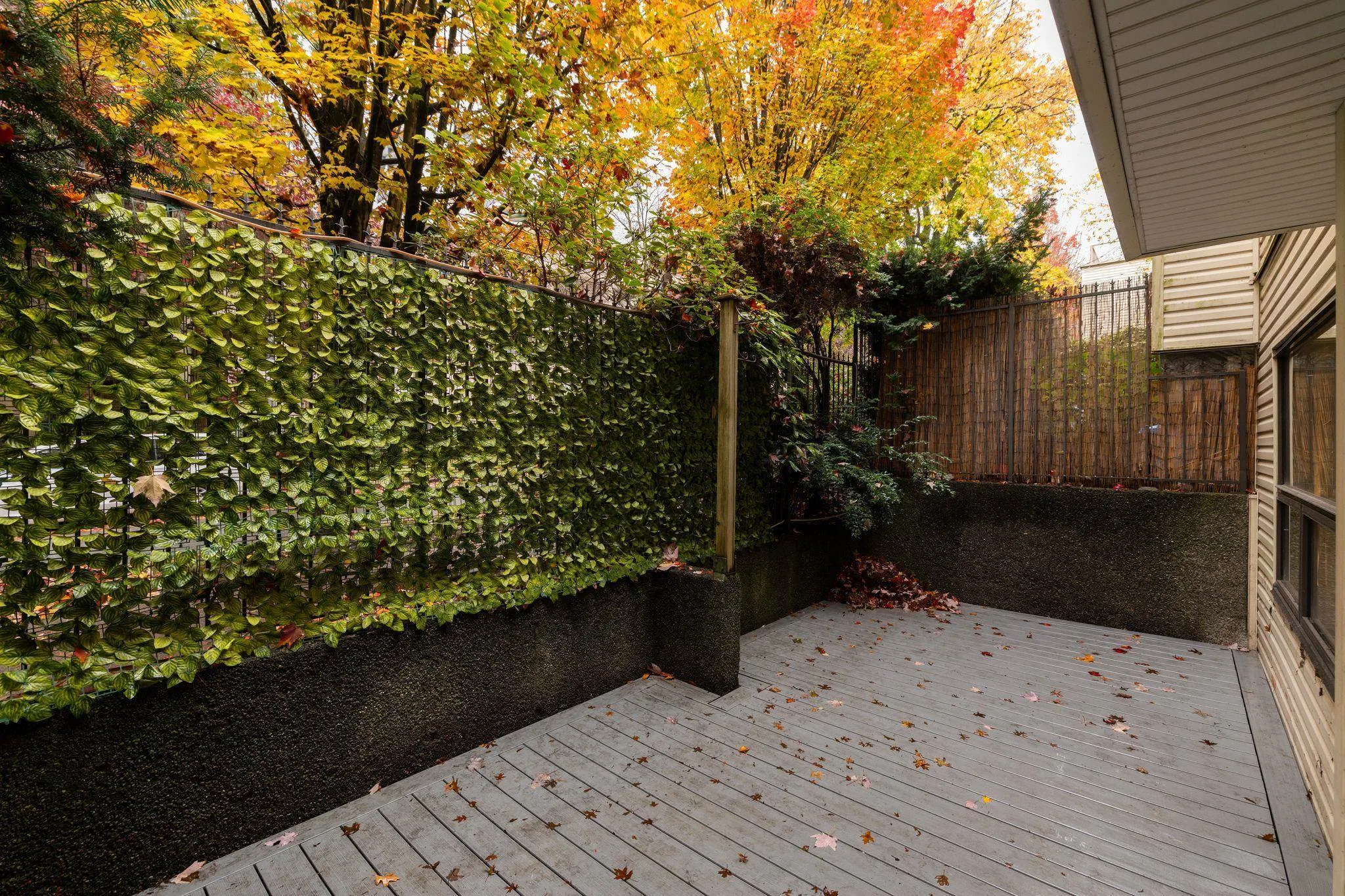 1350 Comox Street #203