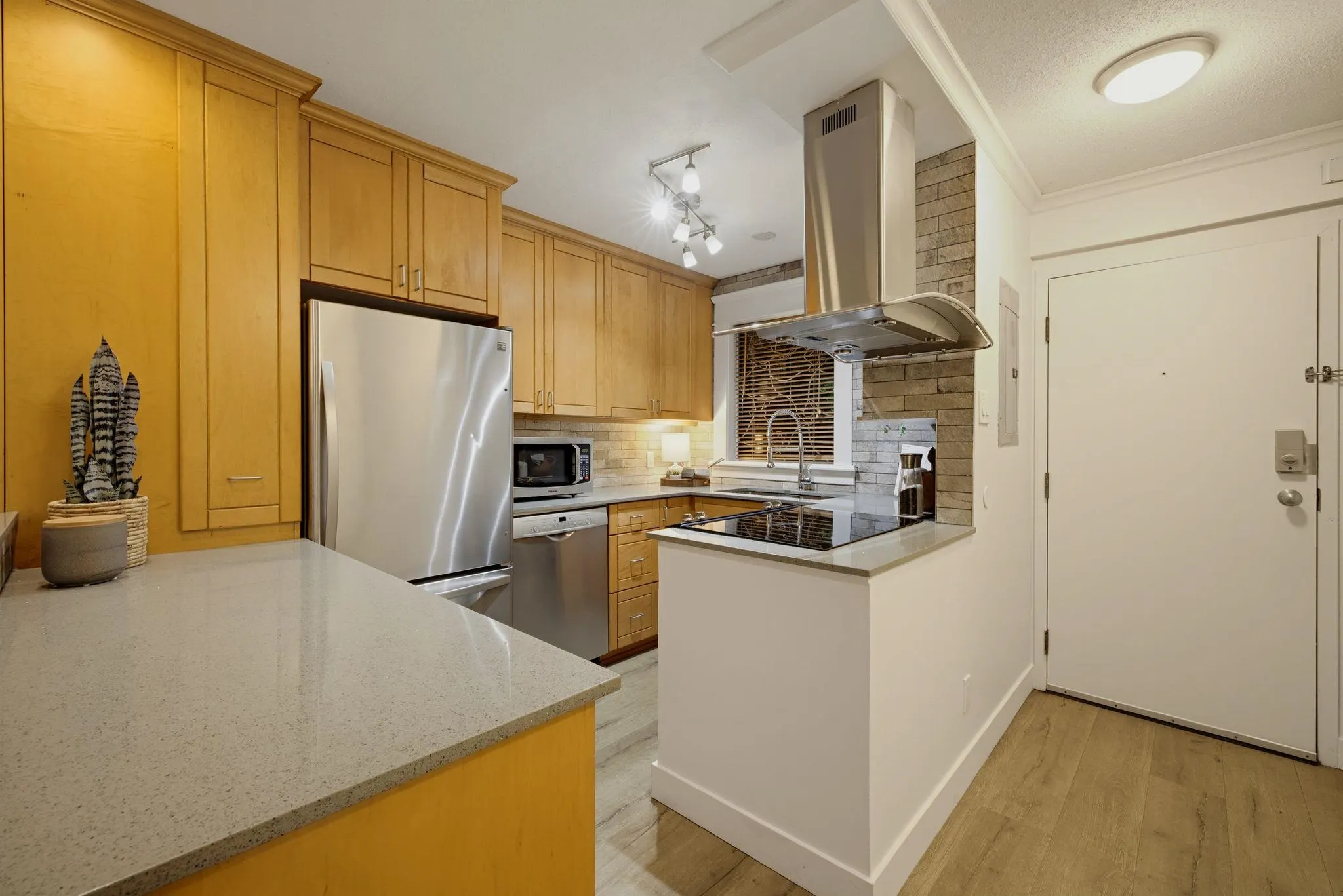 1350 Comox Street #203