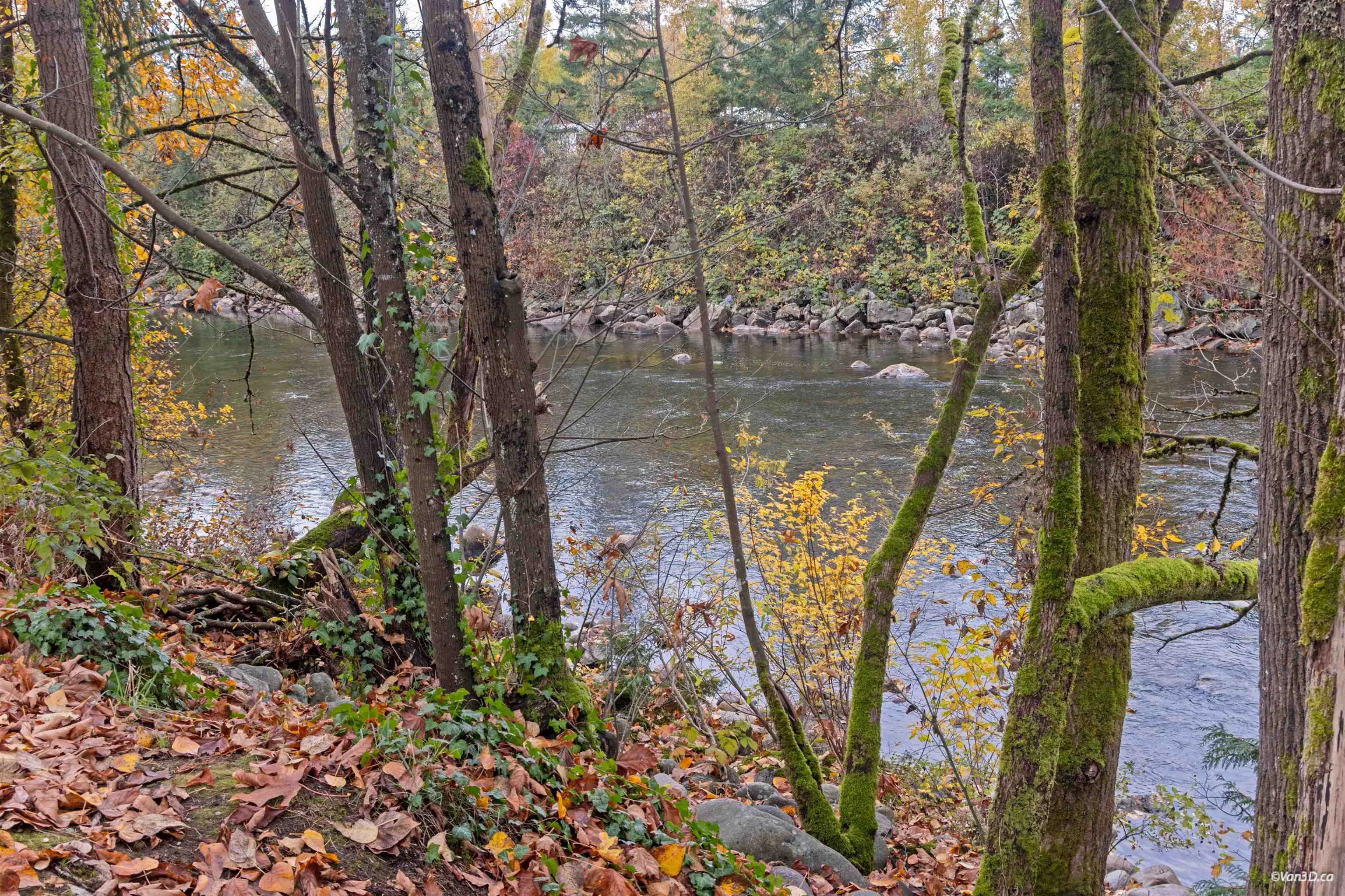 433 Seymour River Place #59