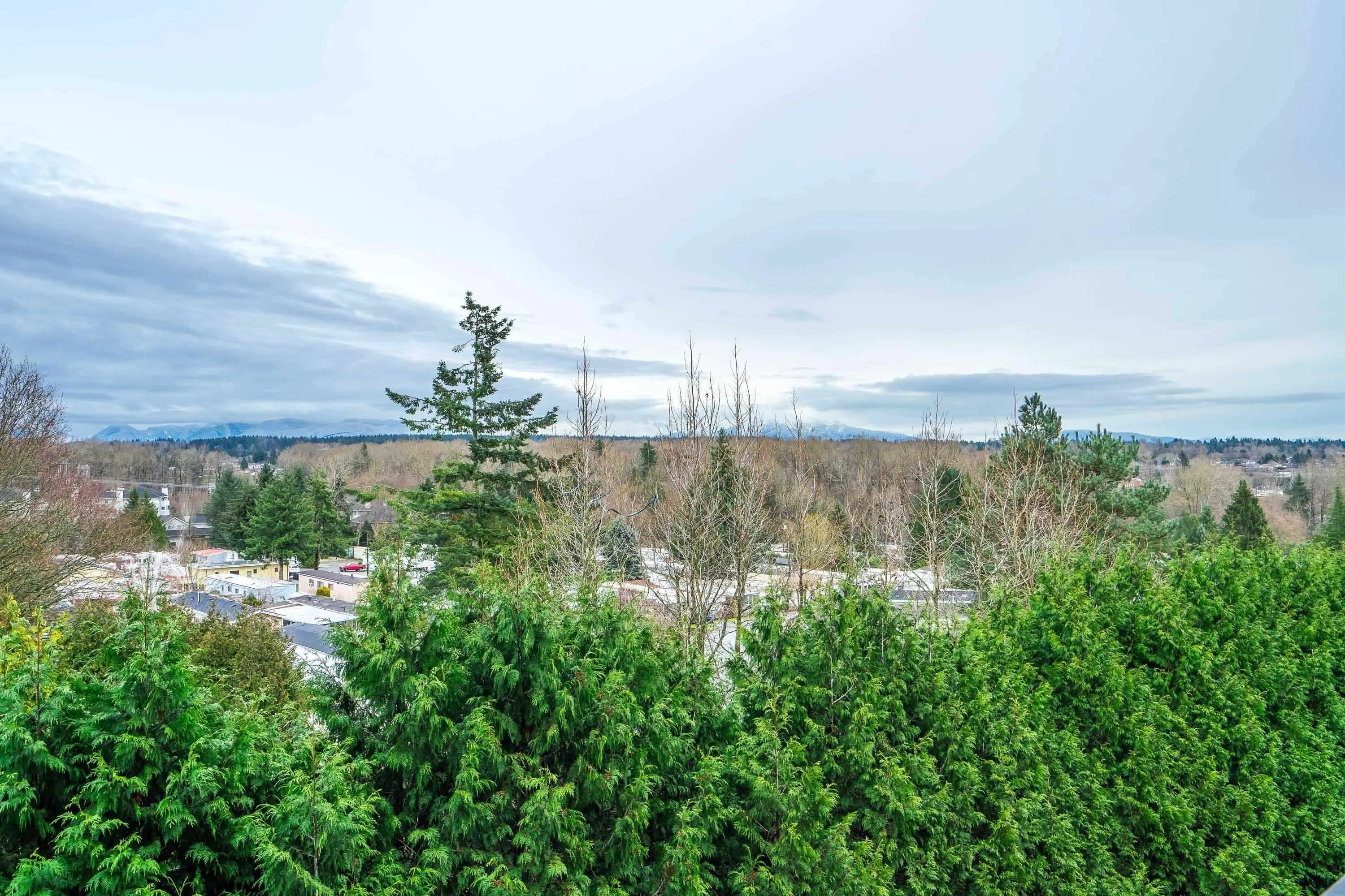 13623 81a Avenue Avenue #311