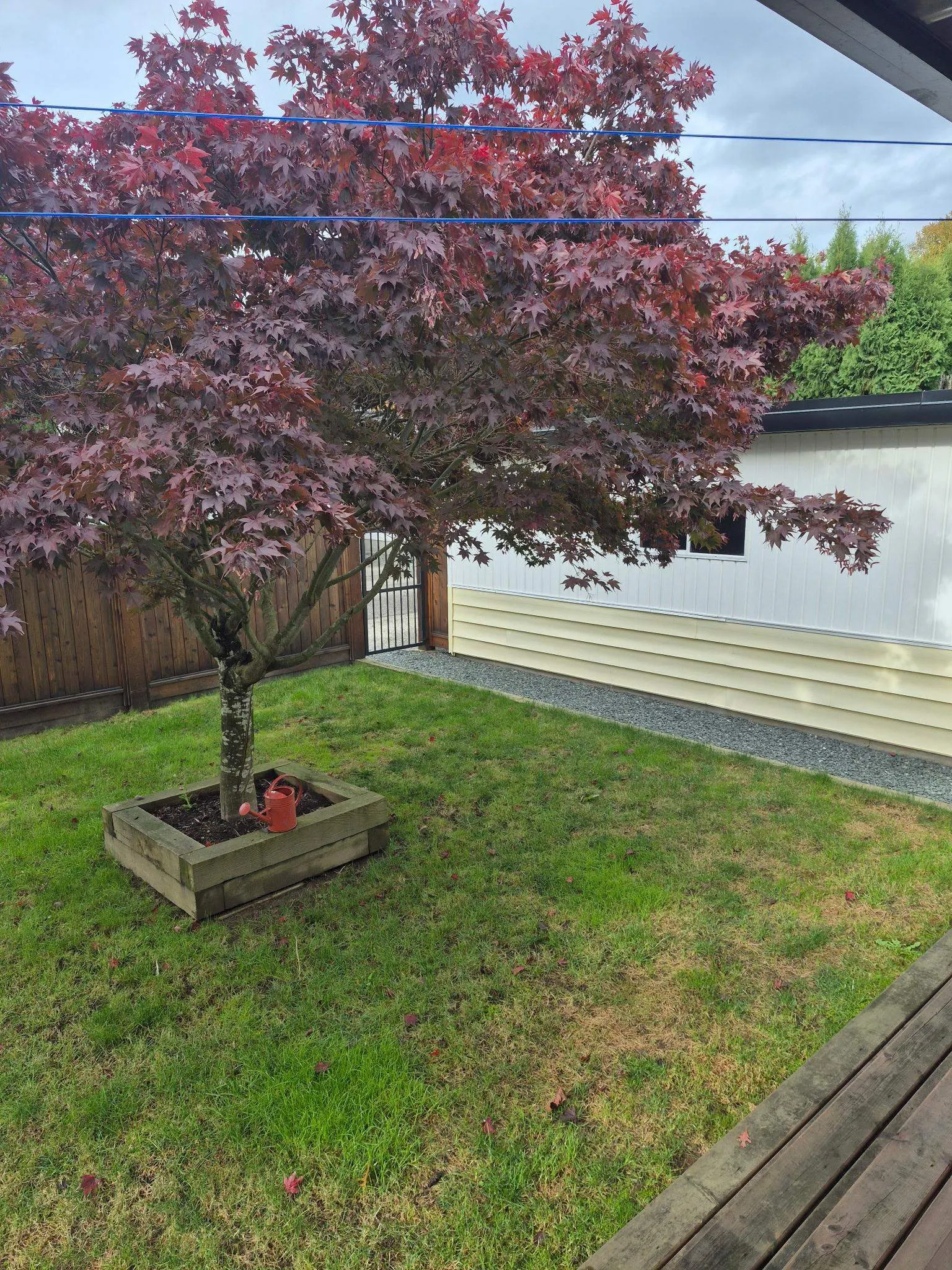 9813 Barber Drive