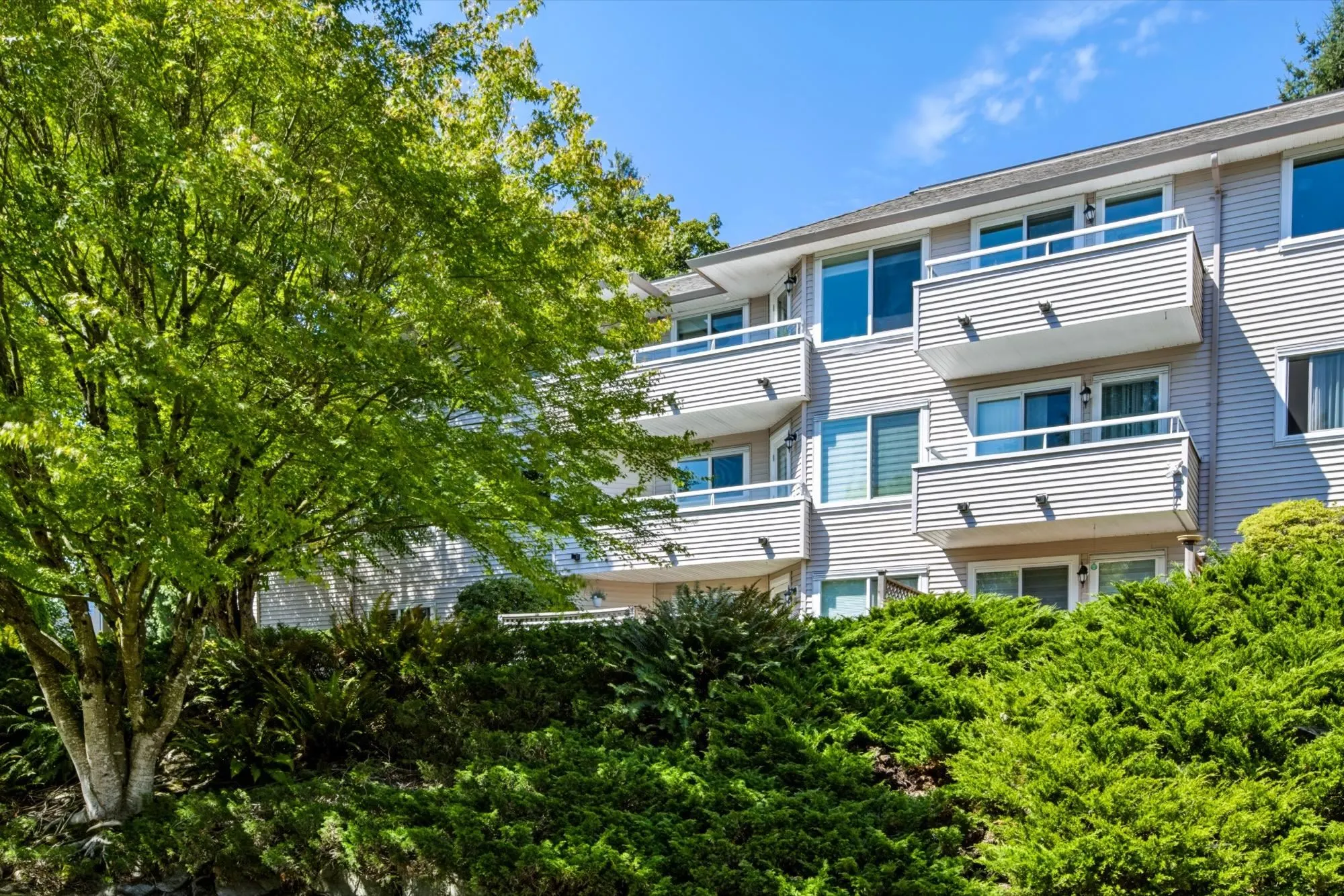 450 Bromley Street #310