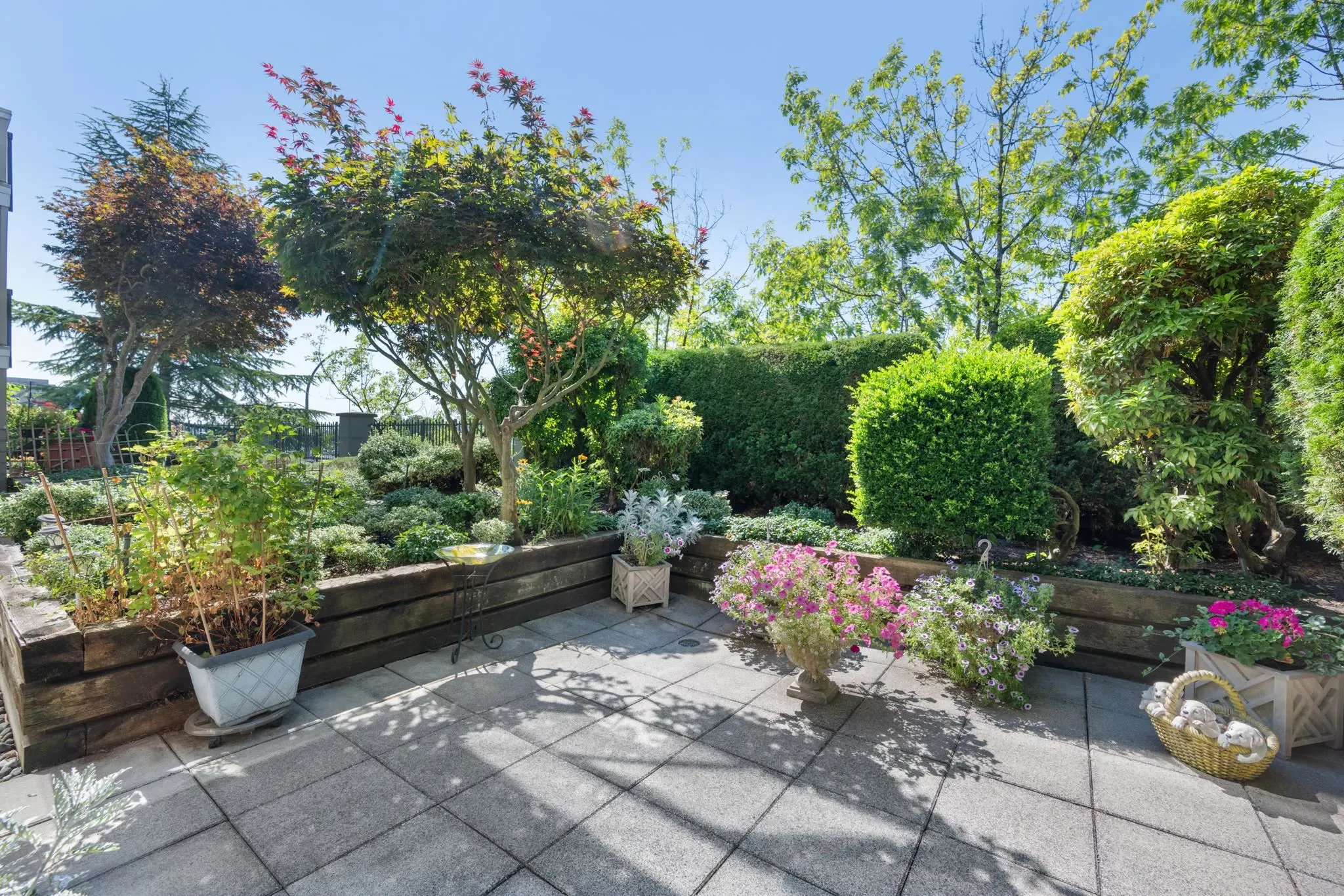 6336 197 Street #115