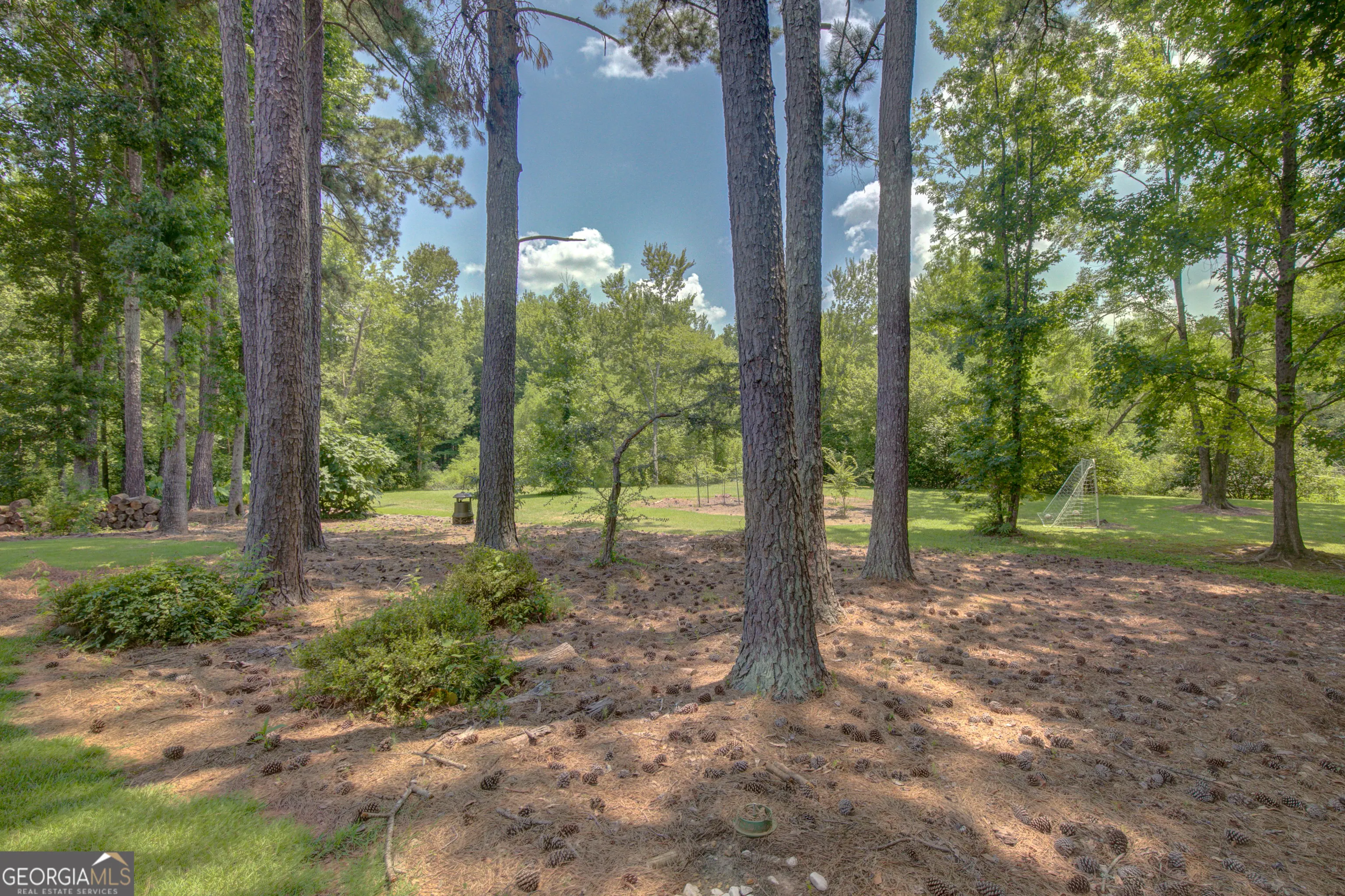 425 Lake Forest Drive