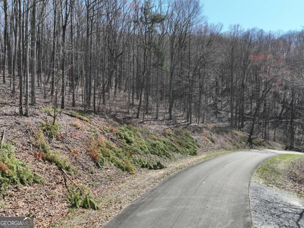 180 Trailwood Drive