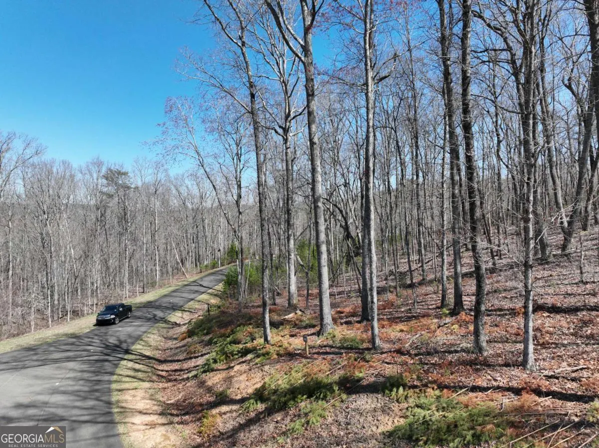 180 Trailwood Drive